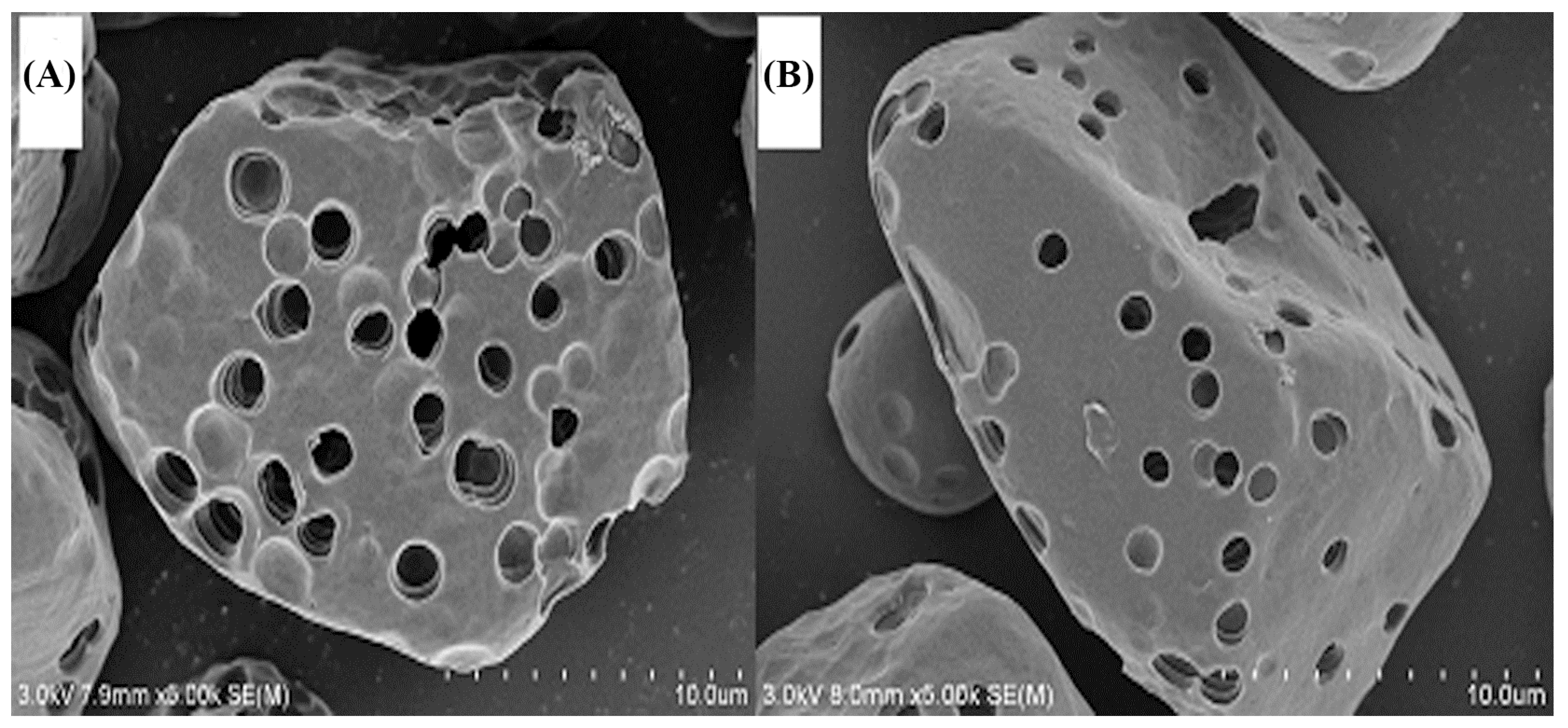 Molecules 24 01449 g006