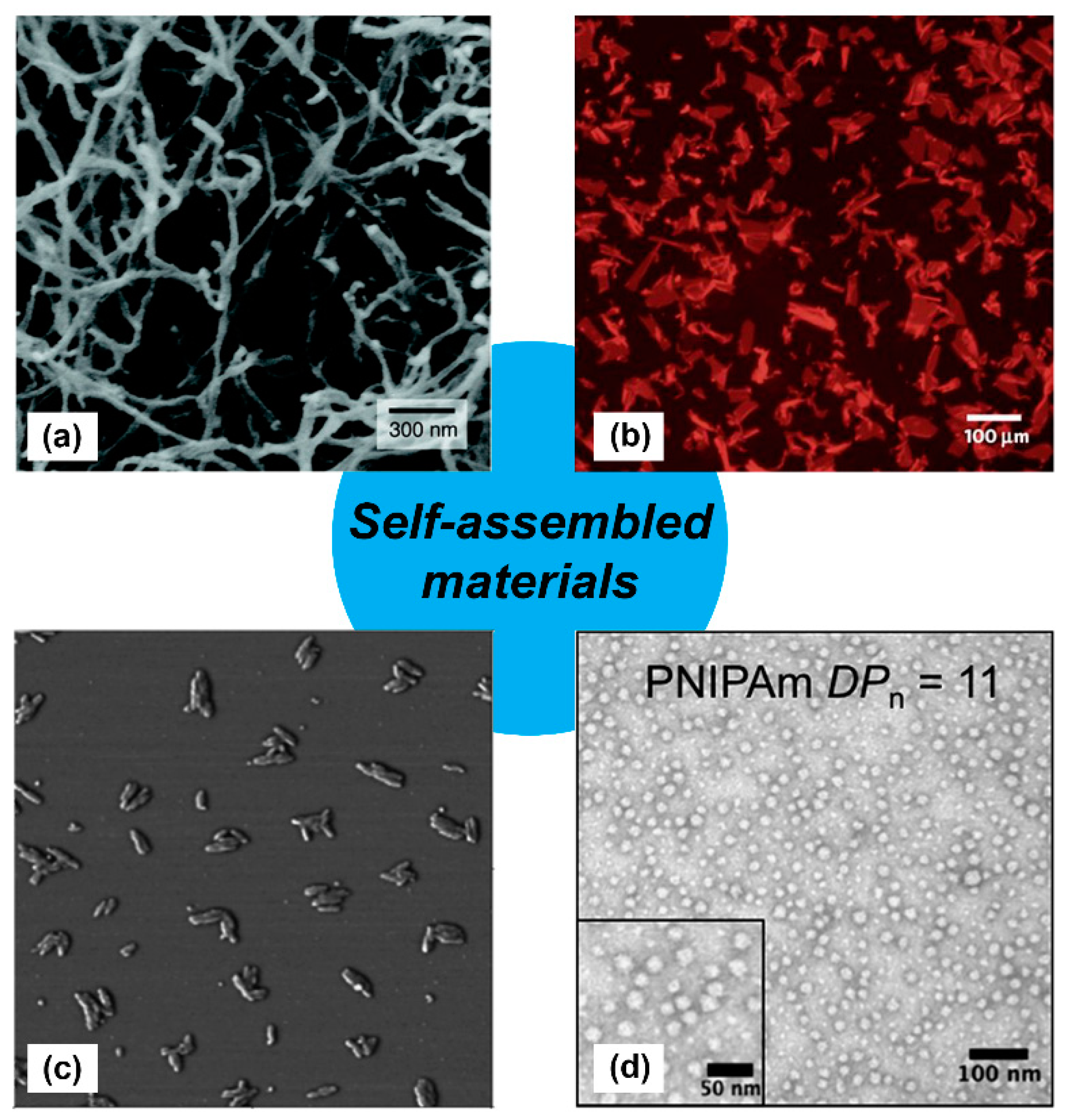 Molecules 24 01450 g001