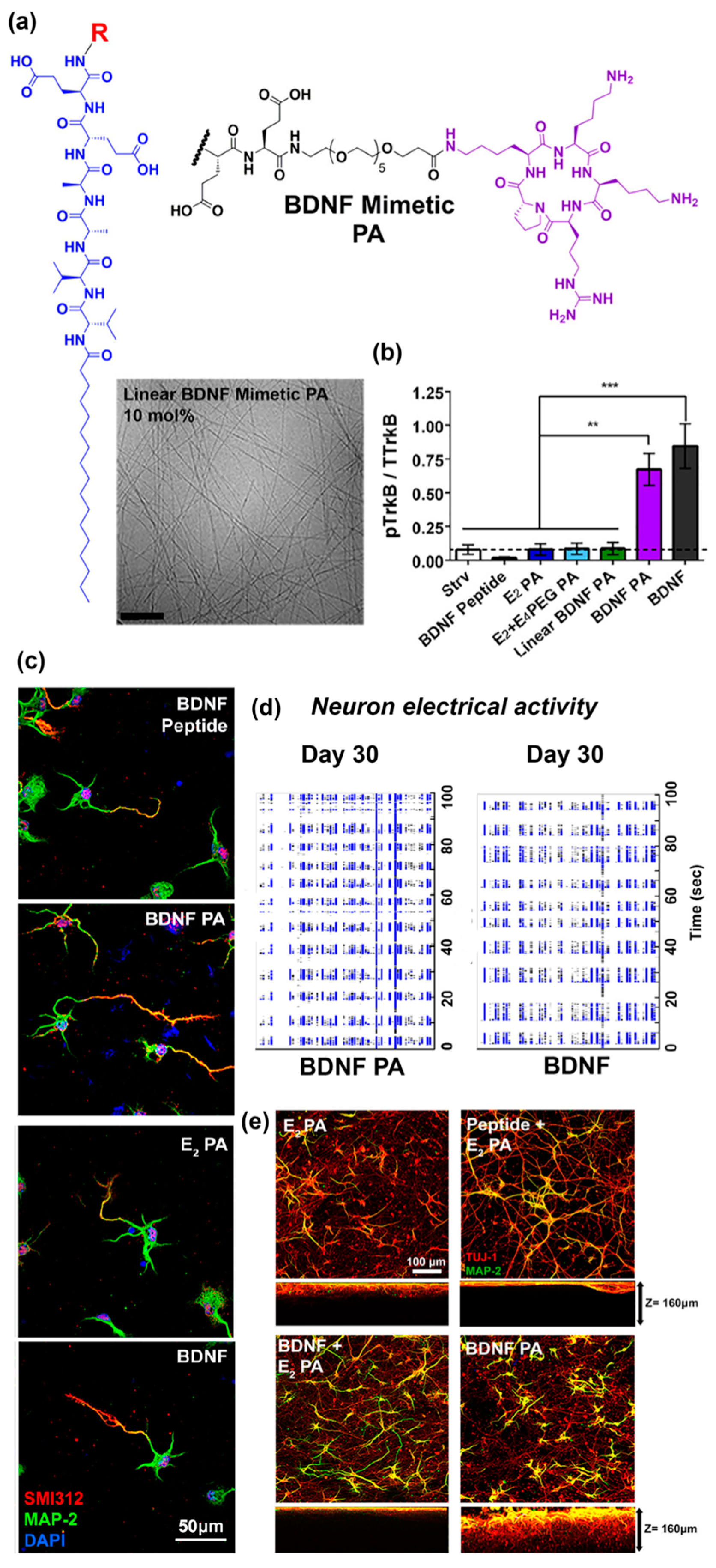 Molecules 24 01450 g003