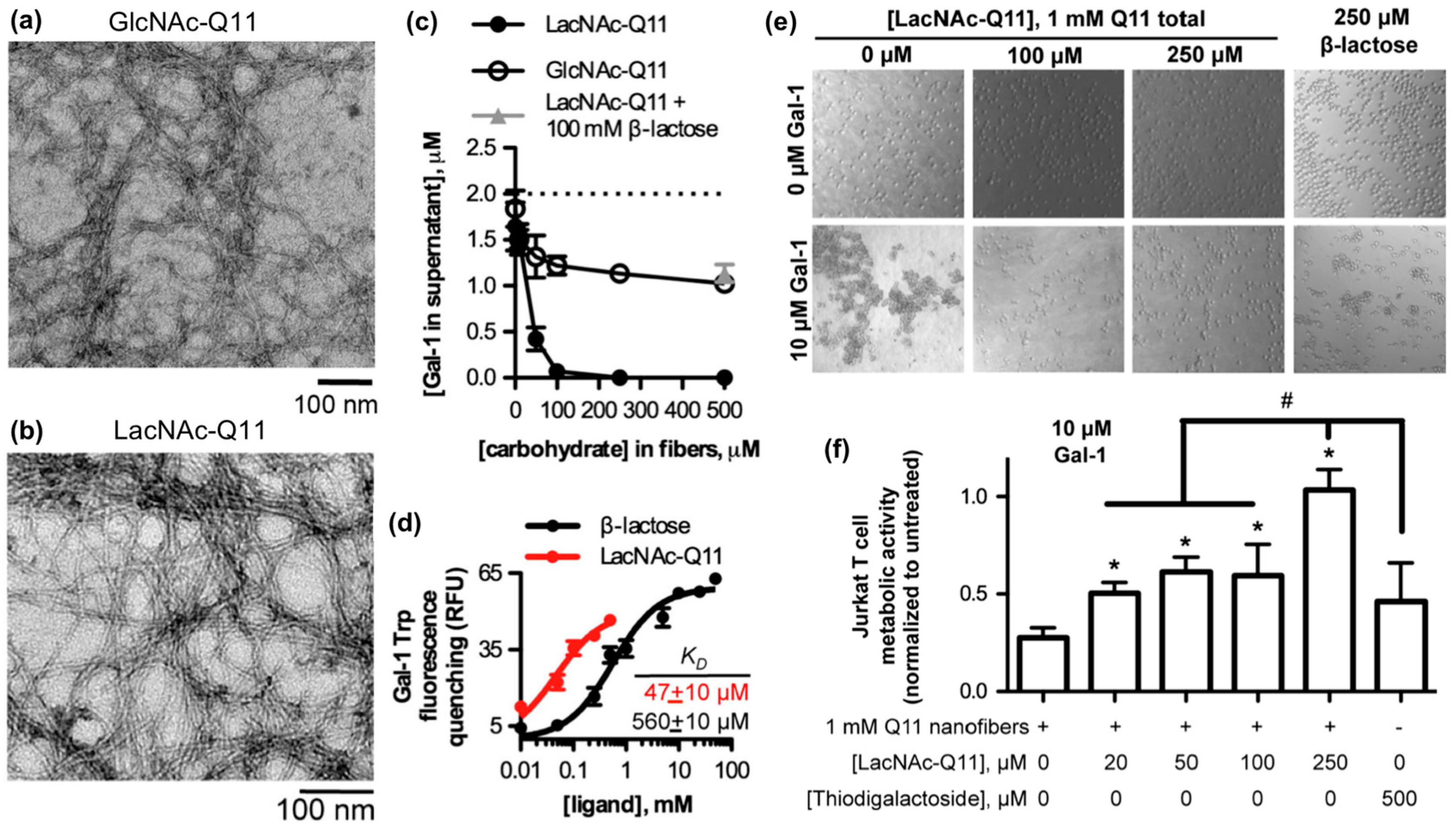 Molecules 24 01450 g004