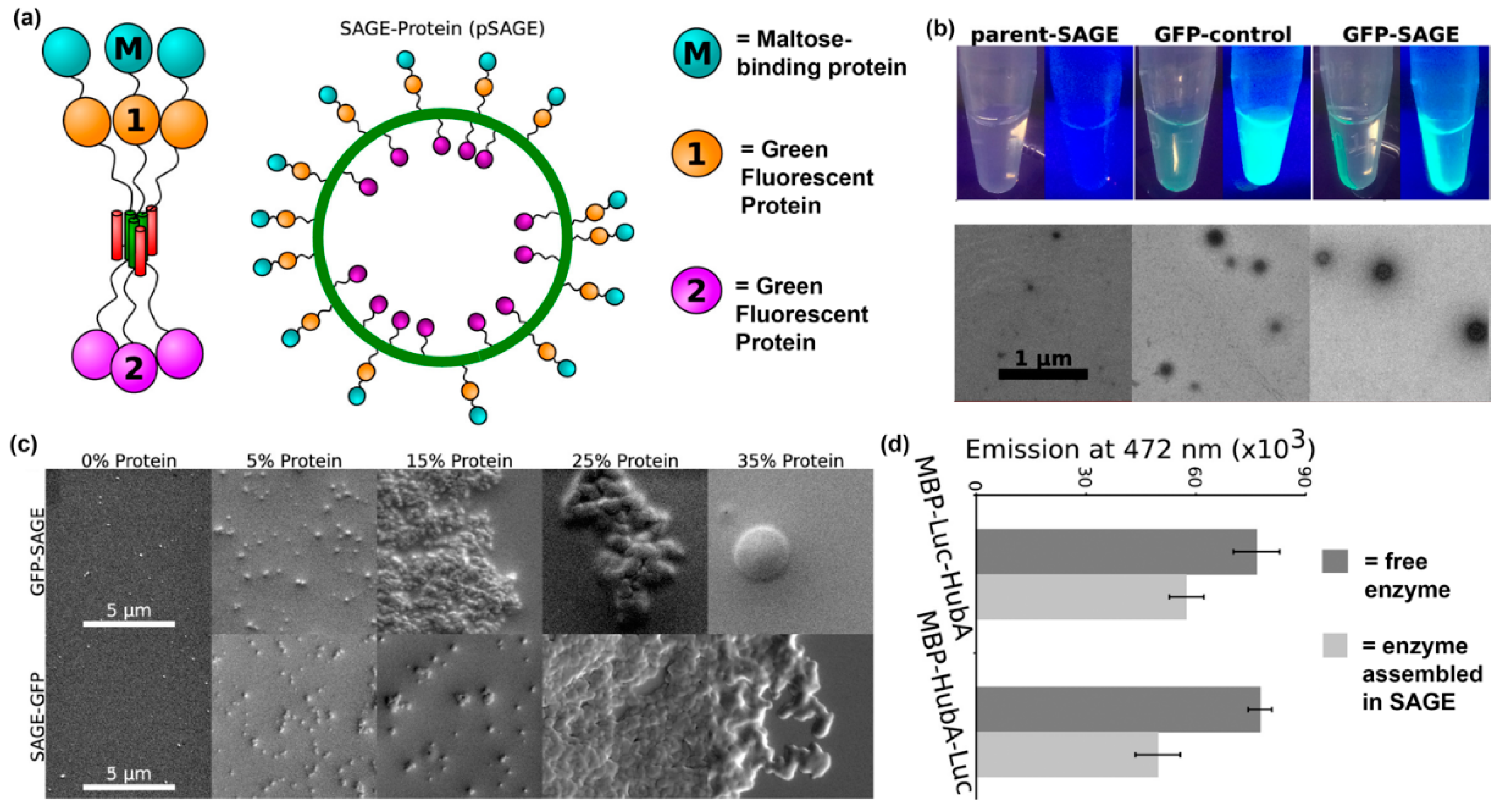 Molecules 24 01450 g009