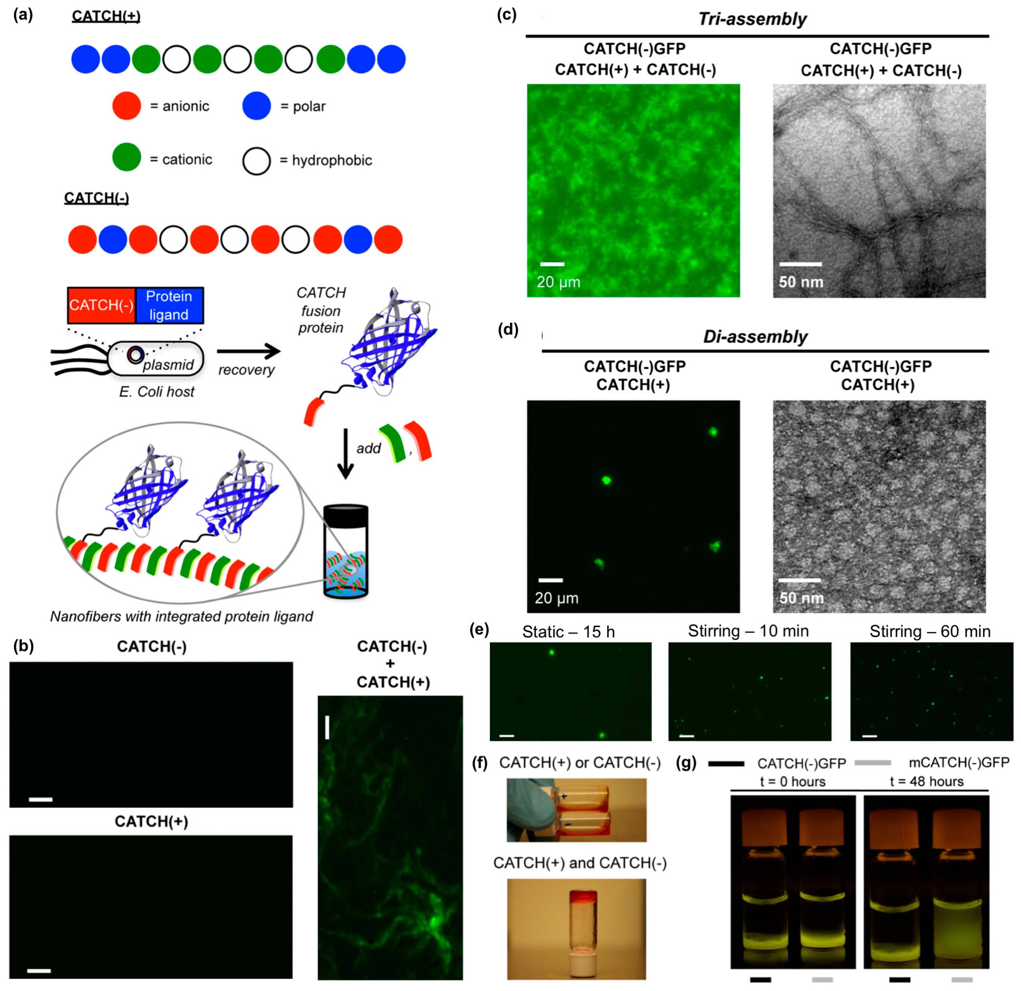 Molecules 24 01450 g011