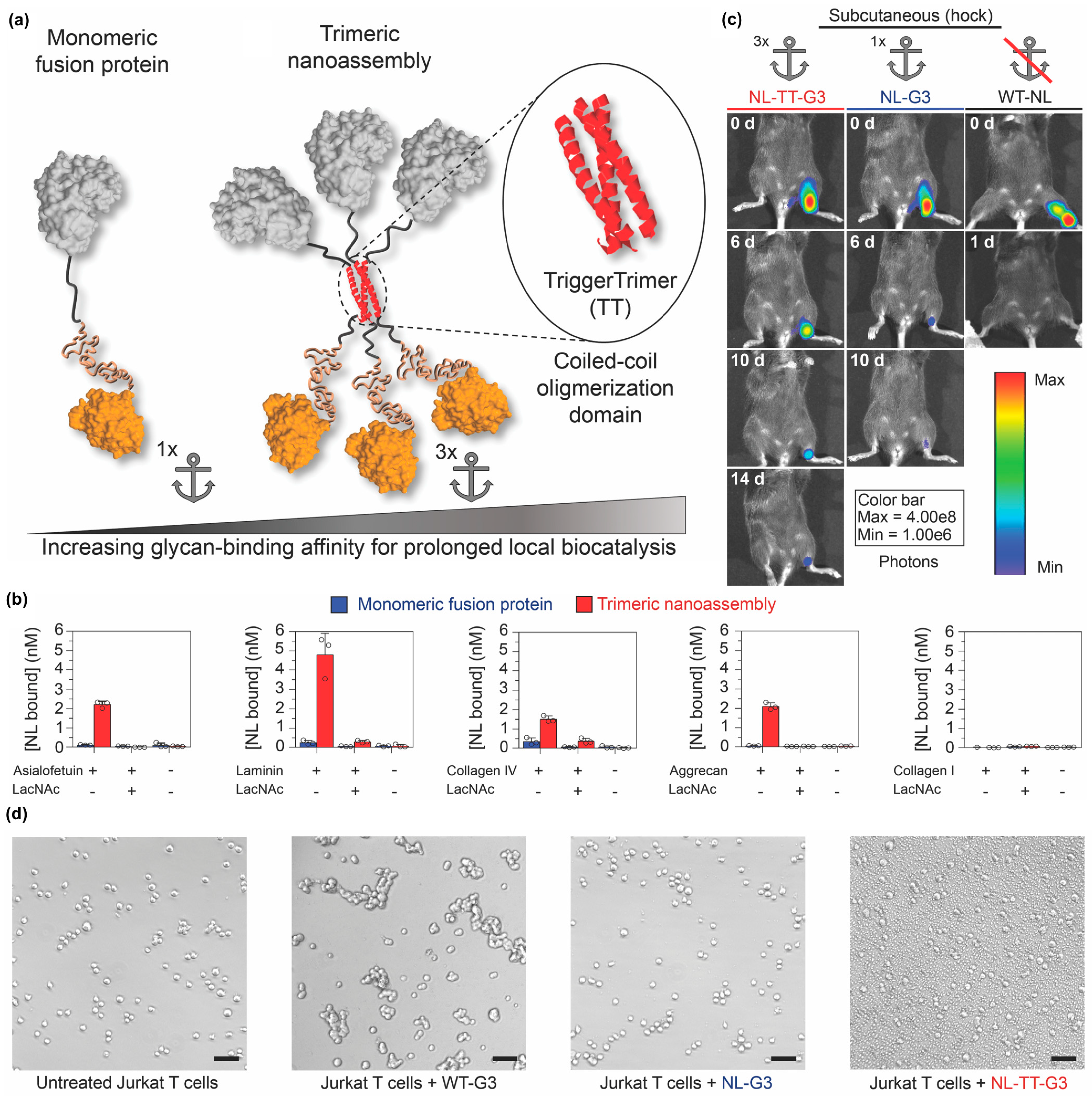 Molecules 24 01450 g012