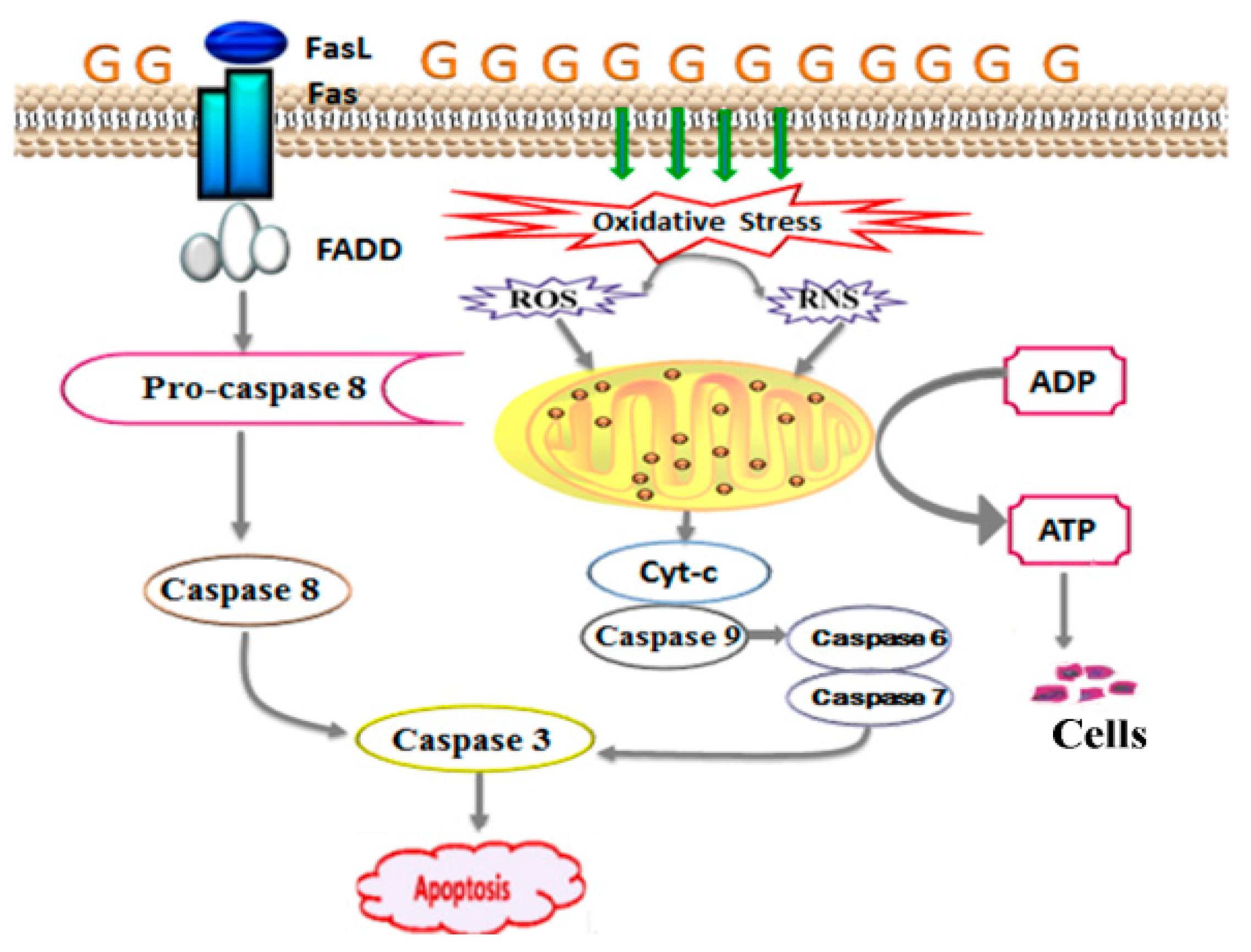 Molecules 24 01454 g008 Molecules 24 01454 g008