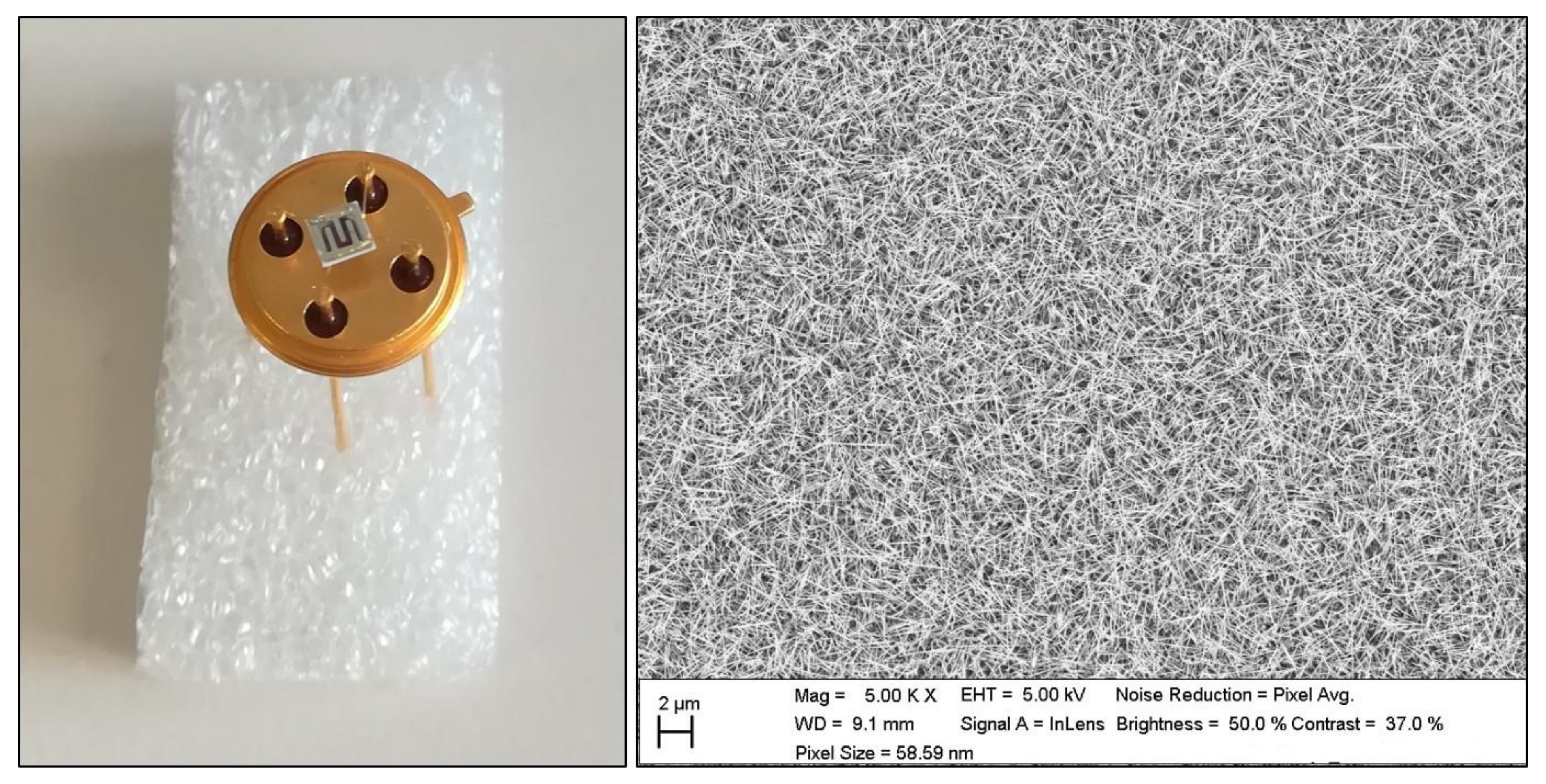 Molecules 24 01457 g005