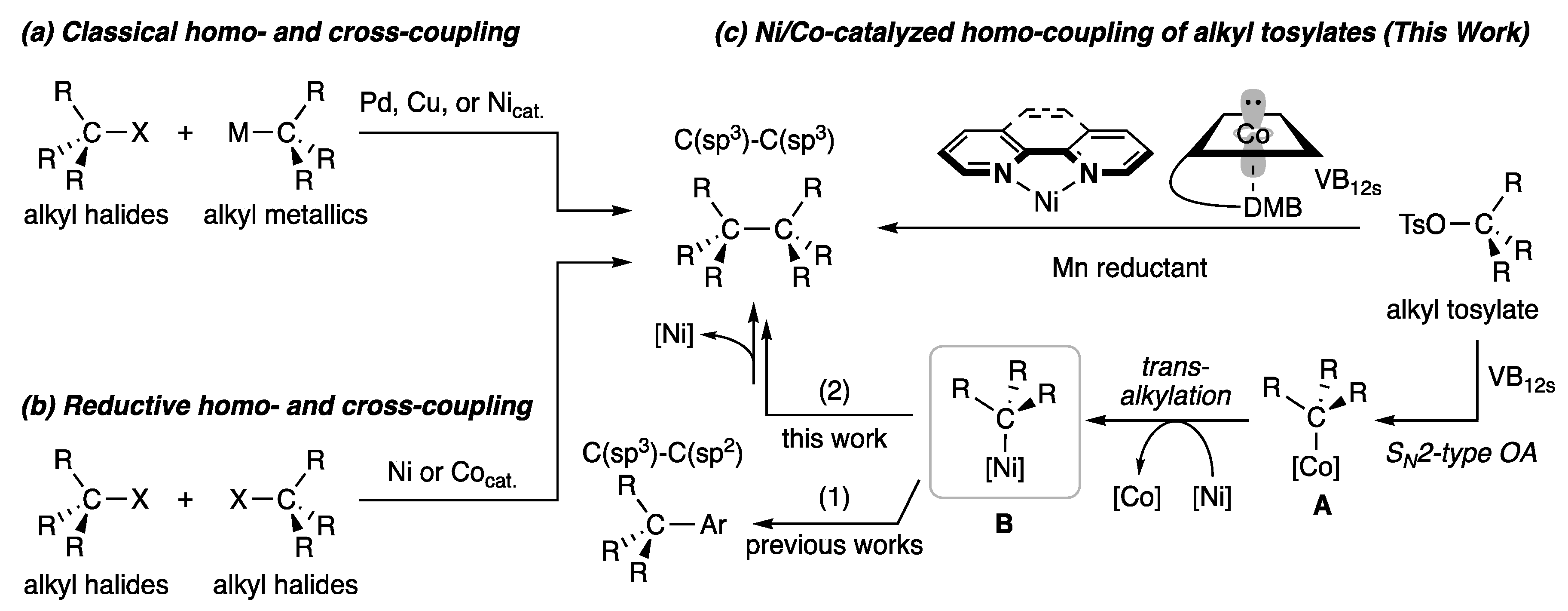 Molecules 24 01458 sch001
