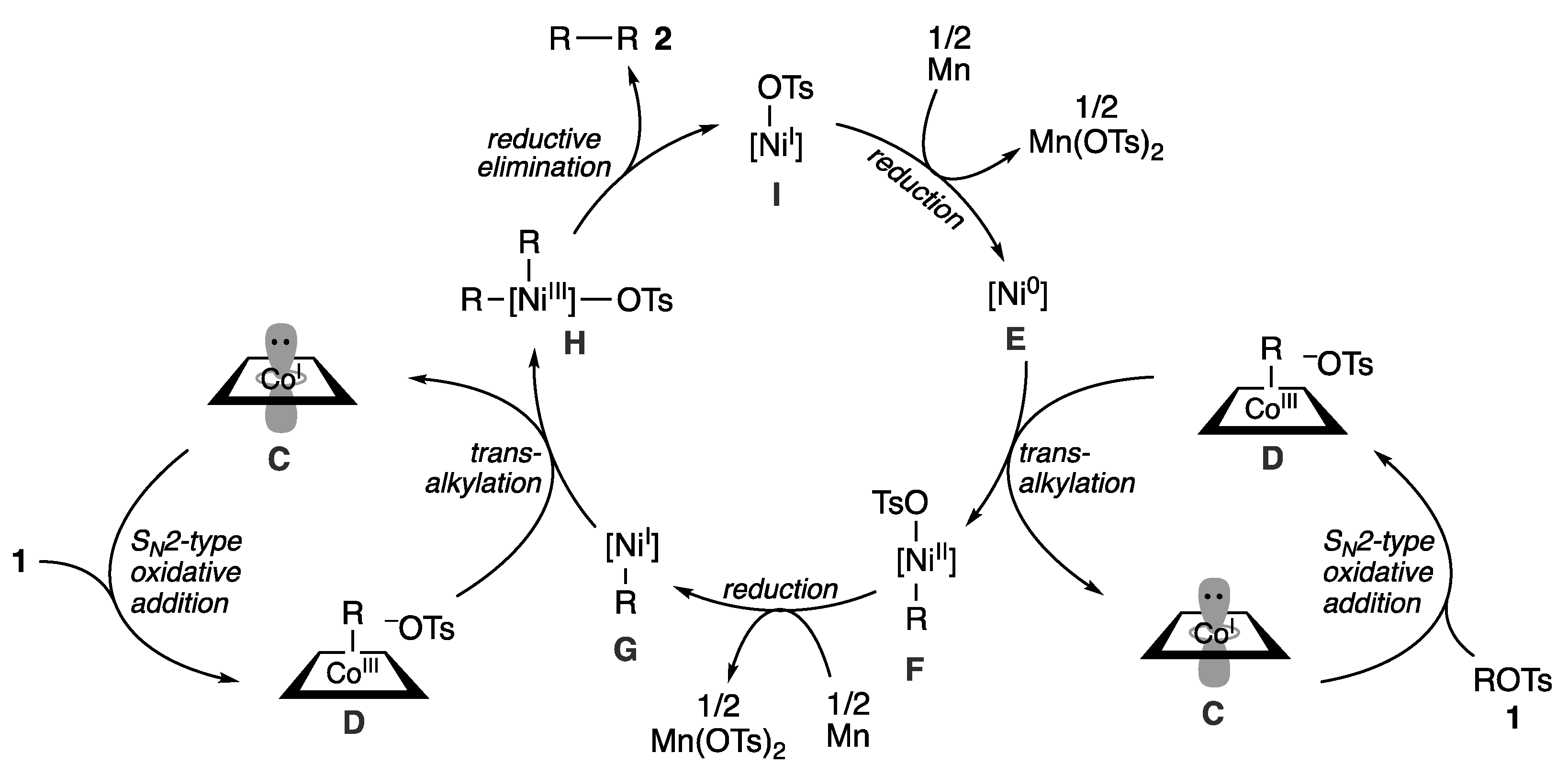 Molecules 24 01458 sch002