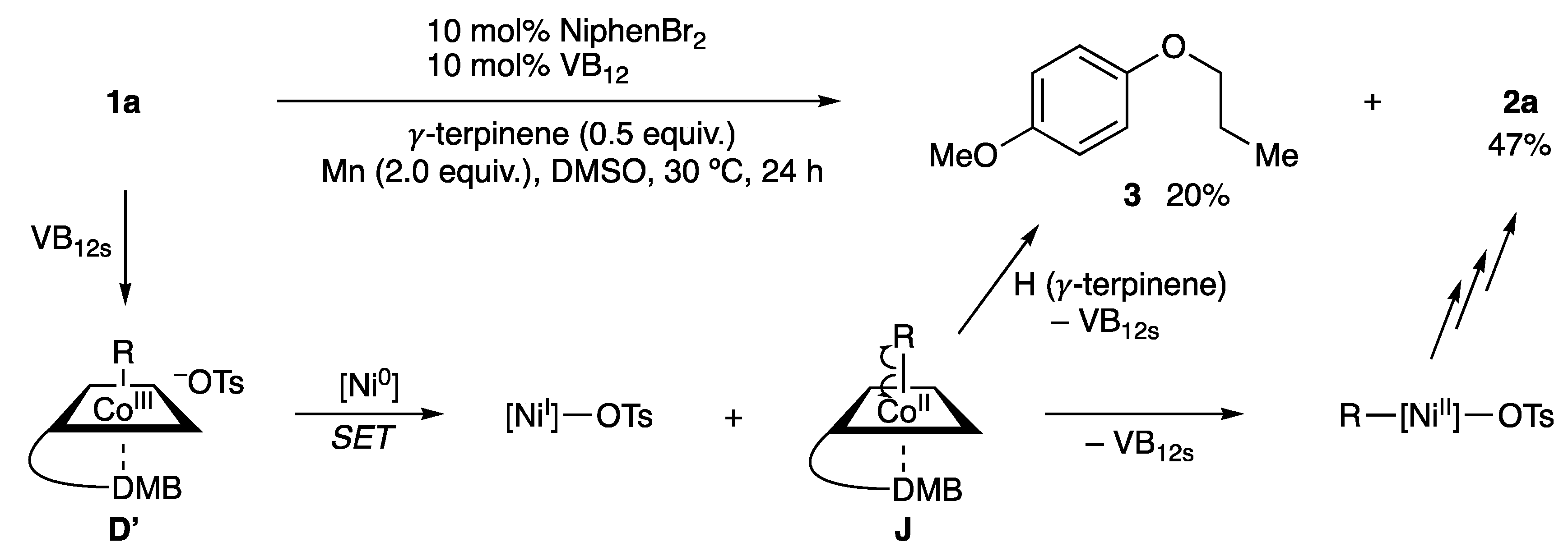 Molecules 24 01458 sch004