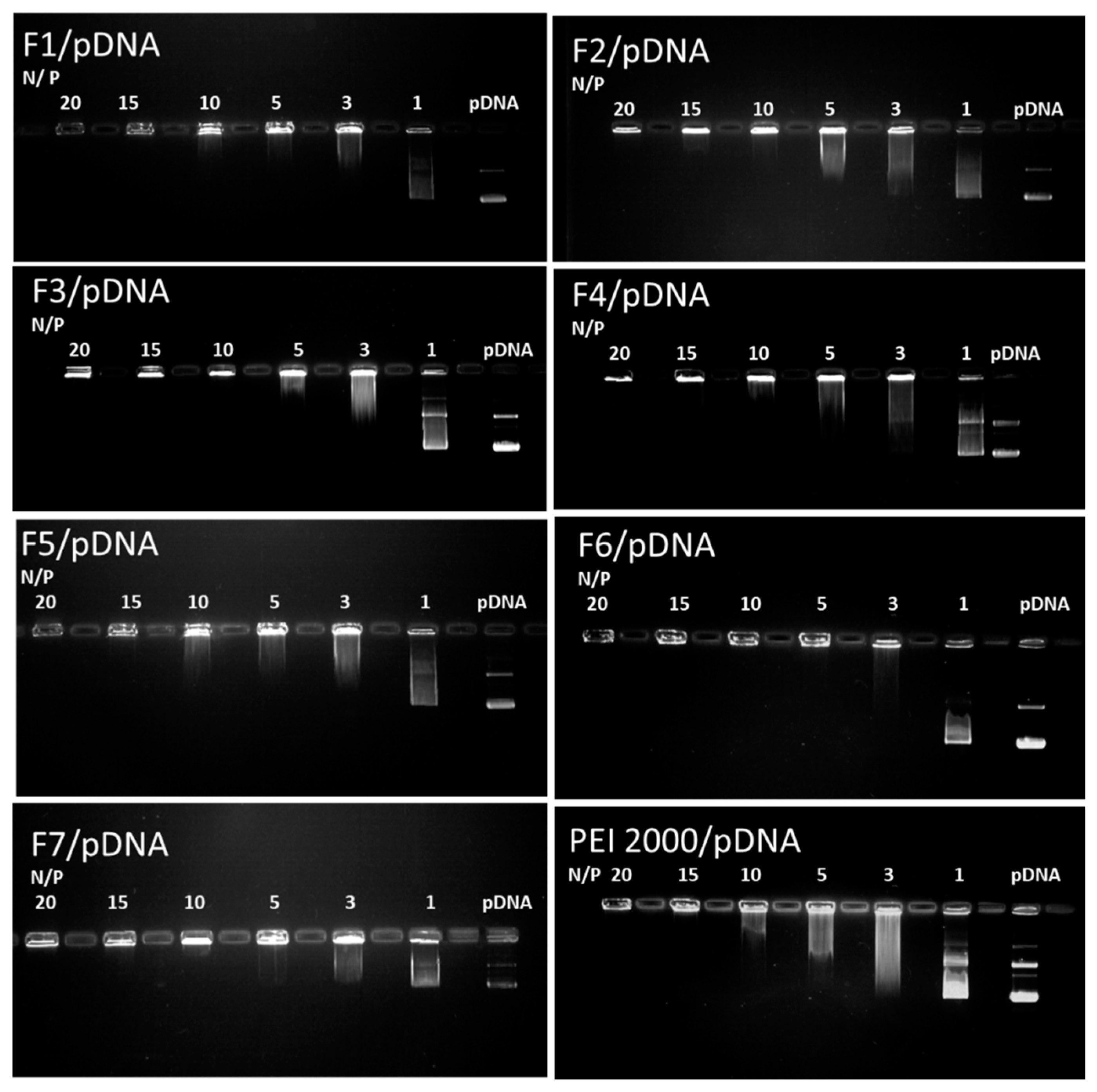 Molecules 24 01460 g005