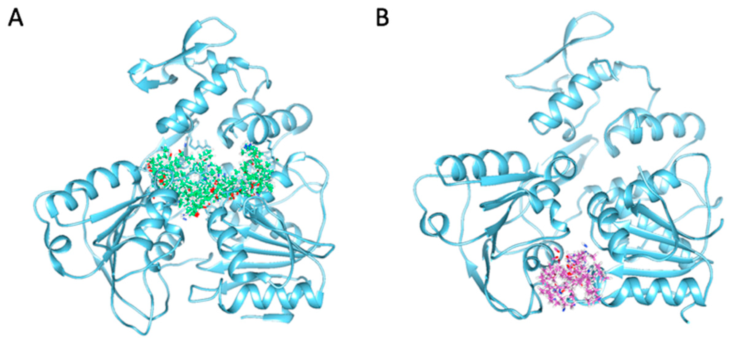 Molecules 24 01465 g001