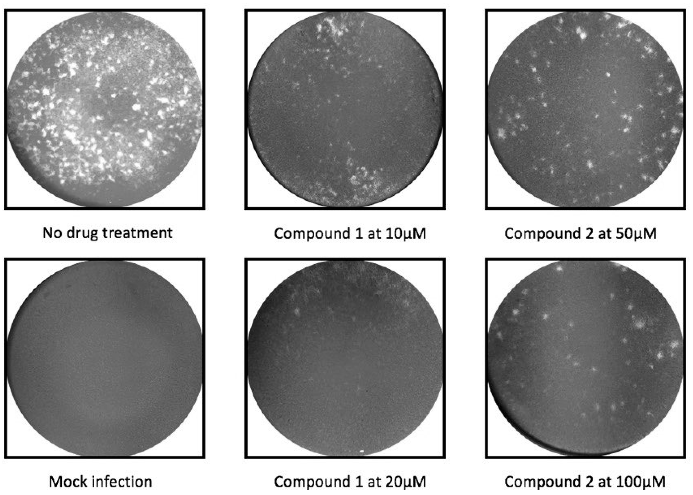 Molecules 24 01465 g002