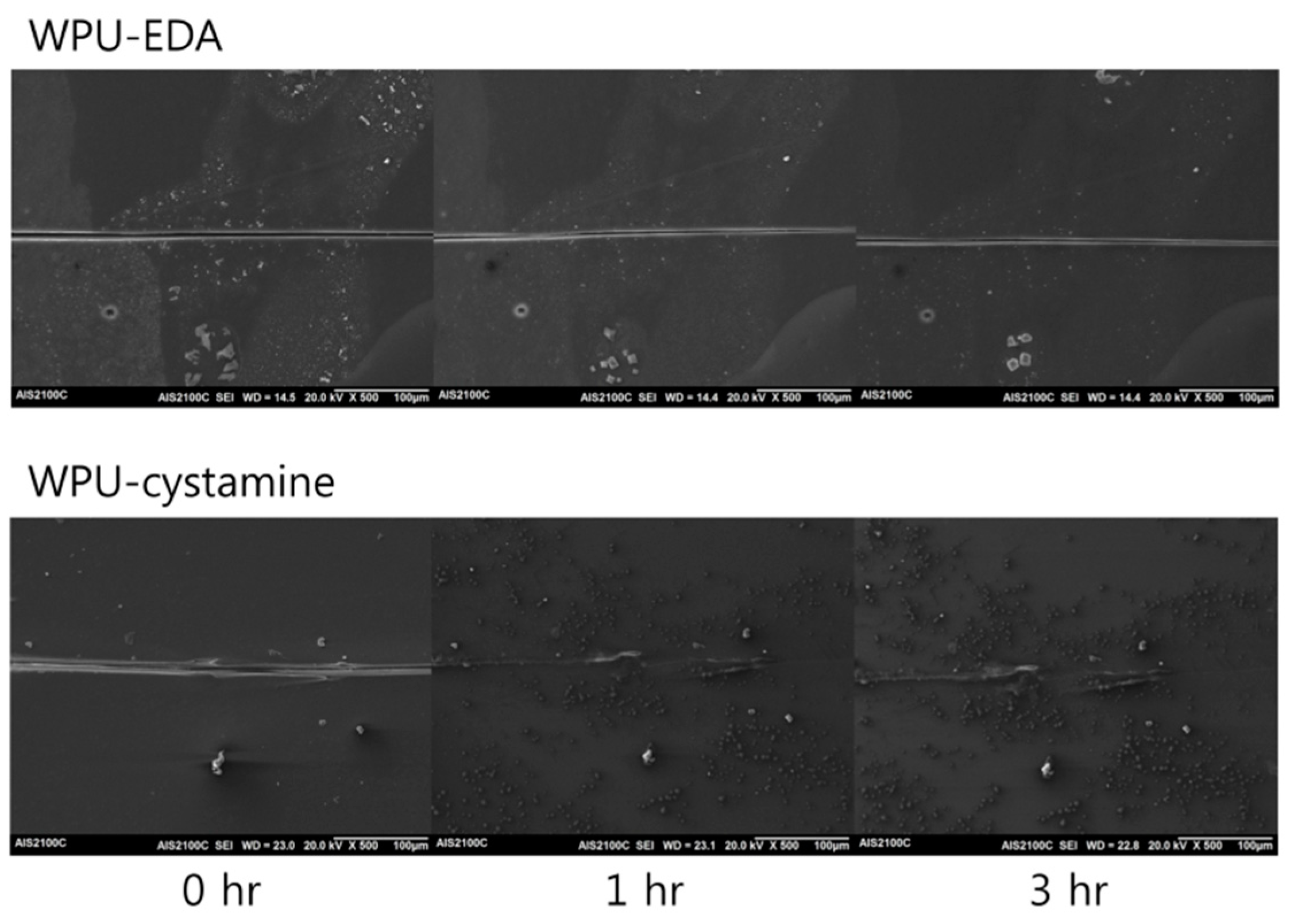 Molecules 24 01492 g005