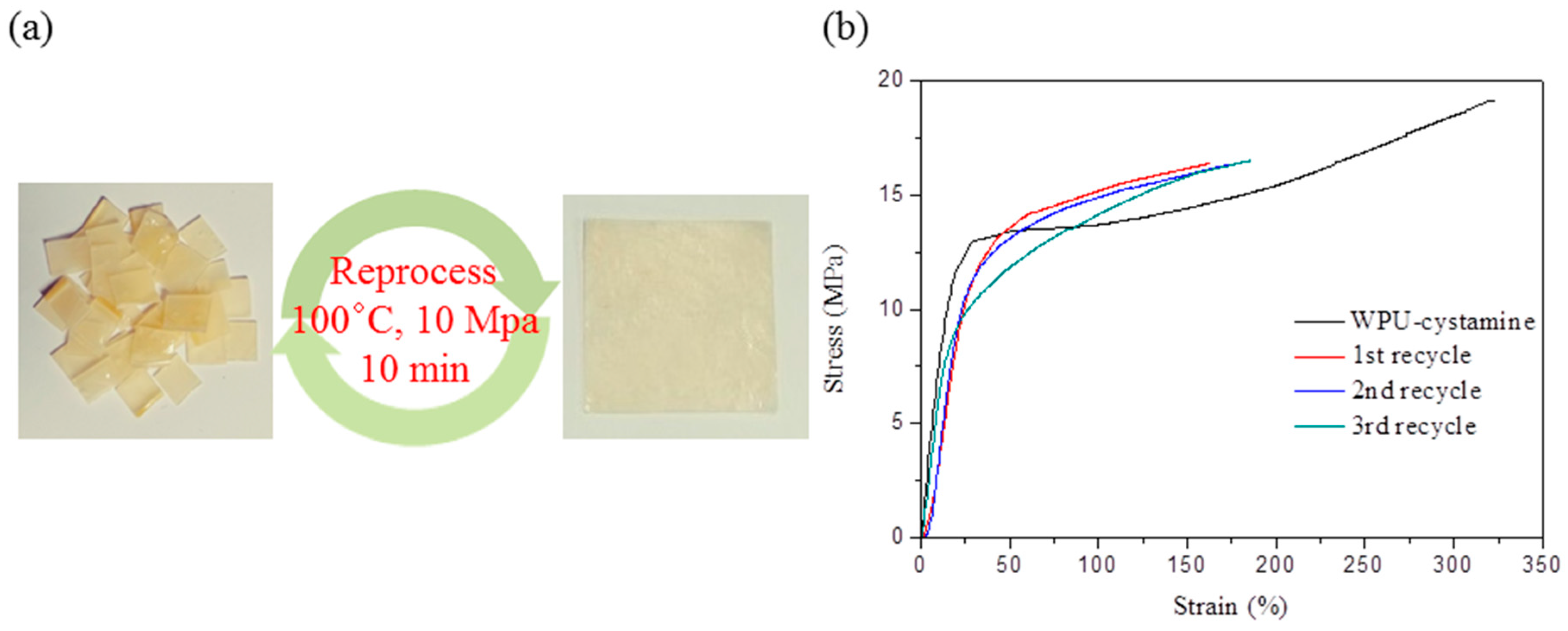 Molecules 24 01492 g009