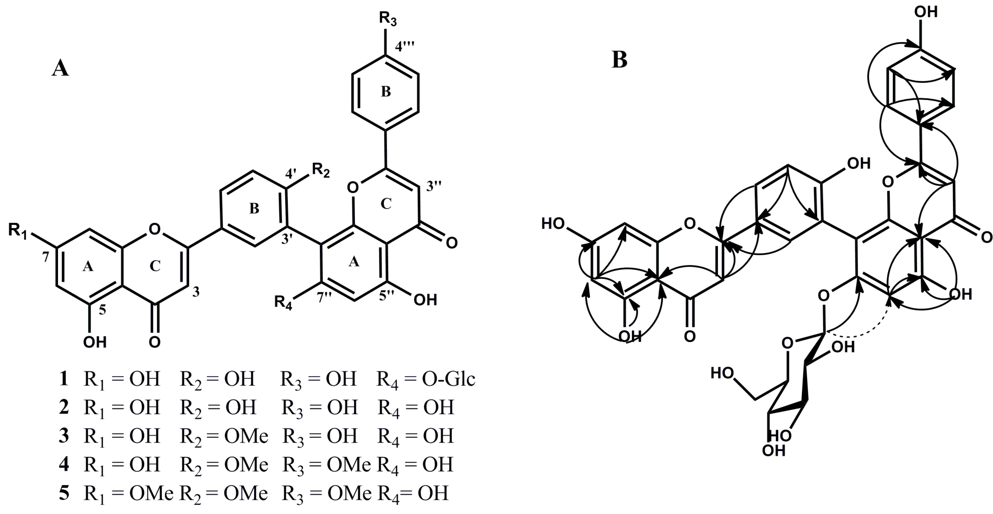 Molecules 24 01496 g001
