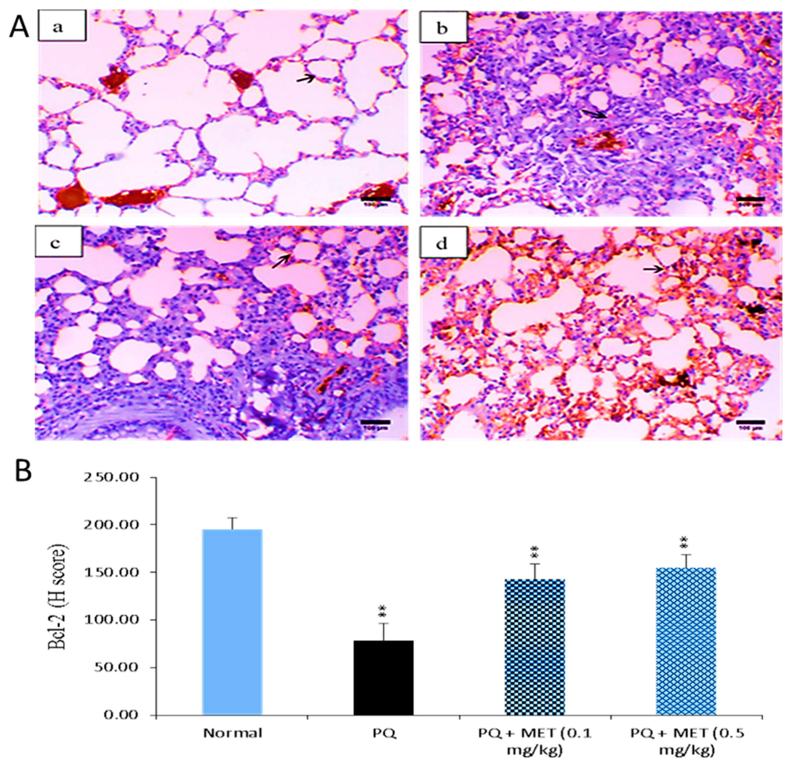 Molecules 24 01498 g007