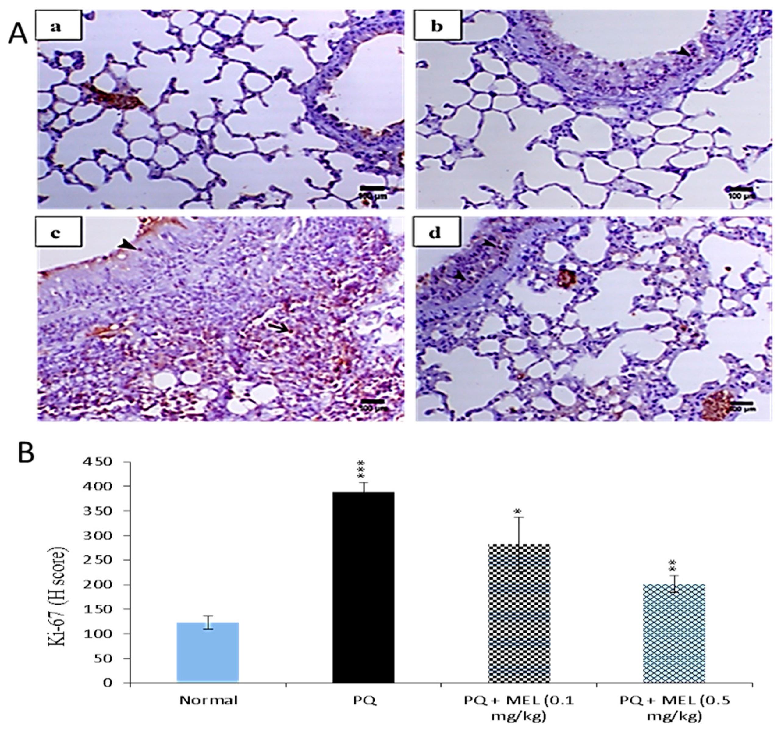 Molecules 24 01498 g009