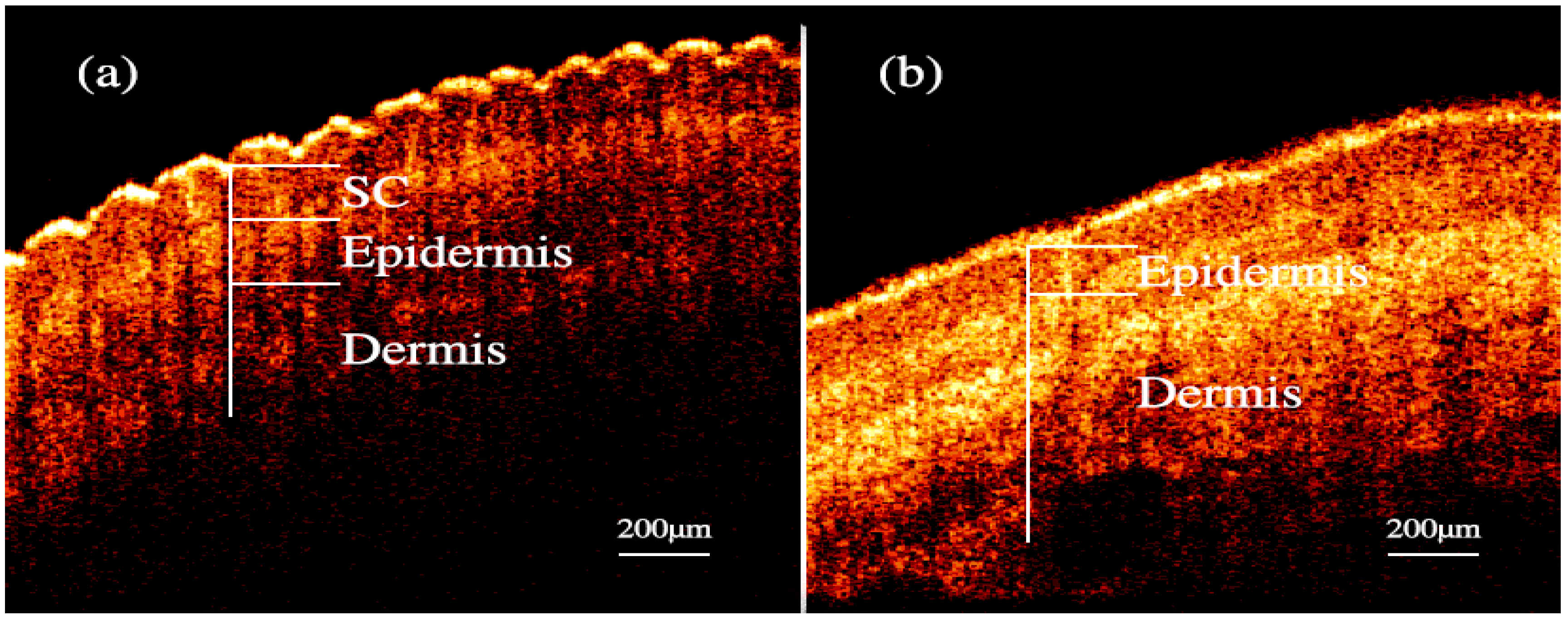 Molecules 24 01500 g002