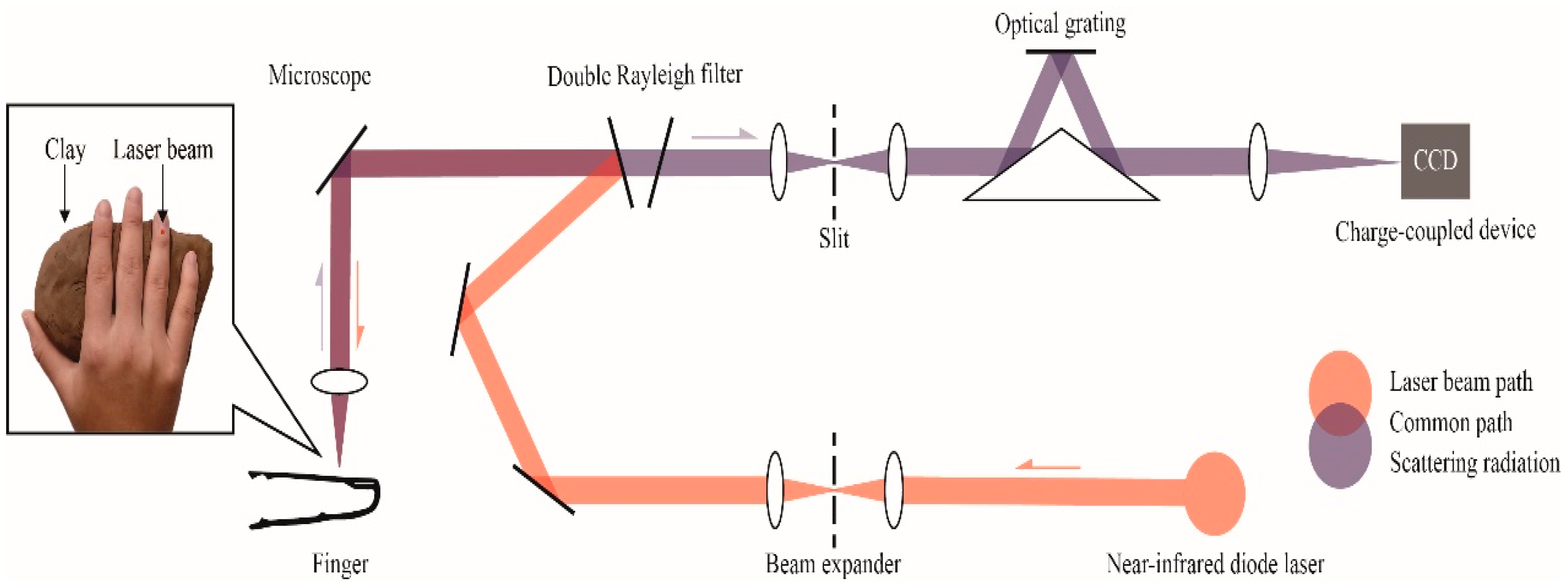 Molecules 24 01500 g007