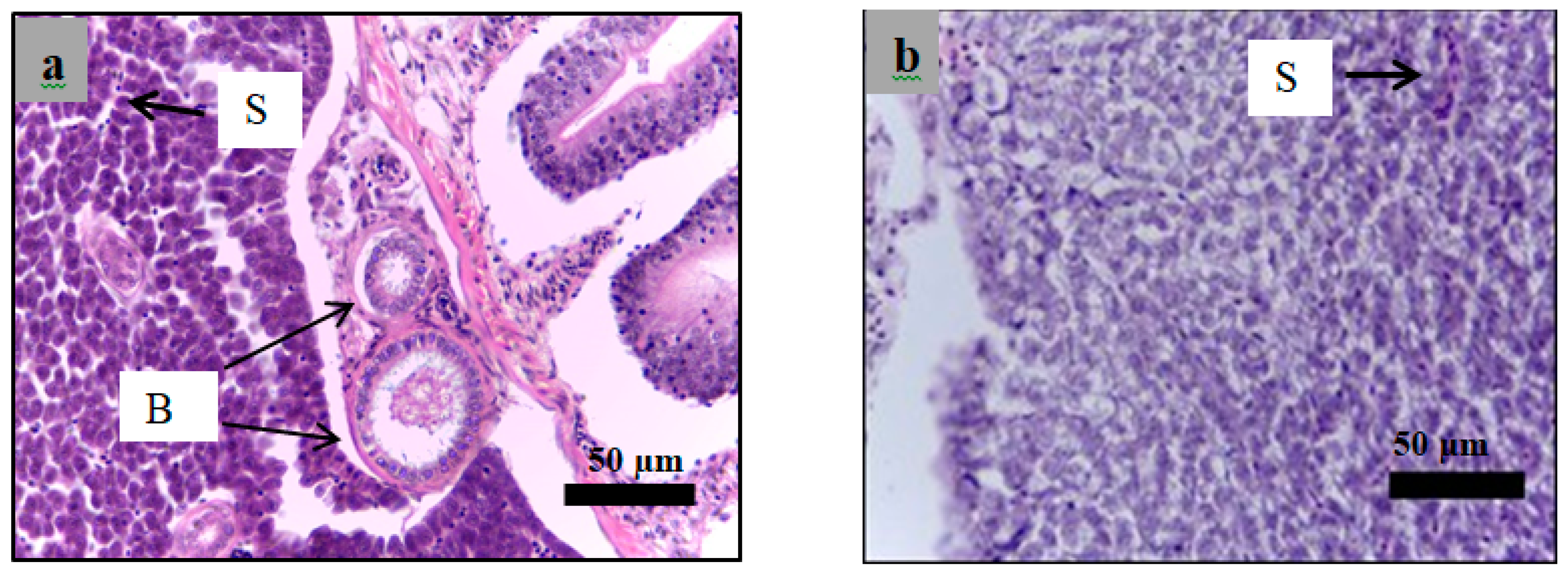 Molecules 24 01506 g013