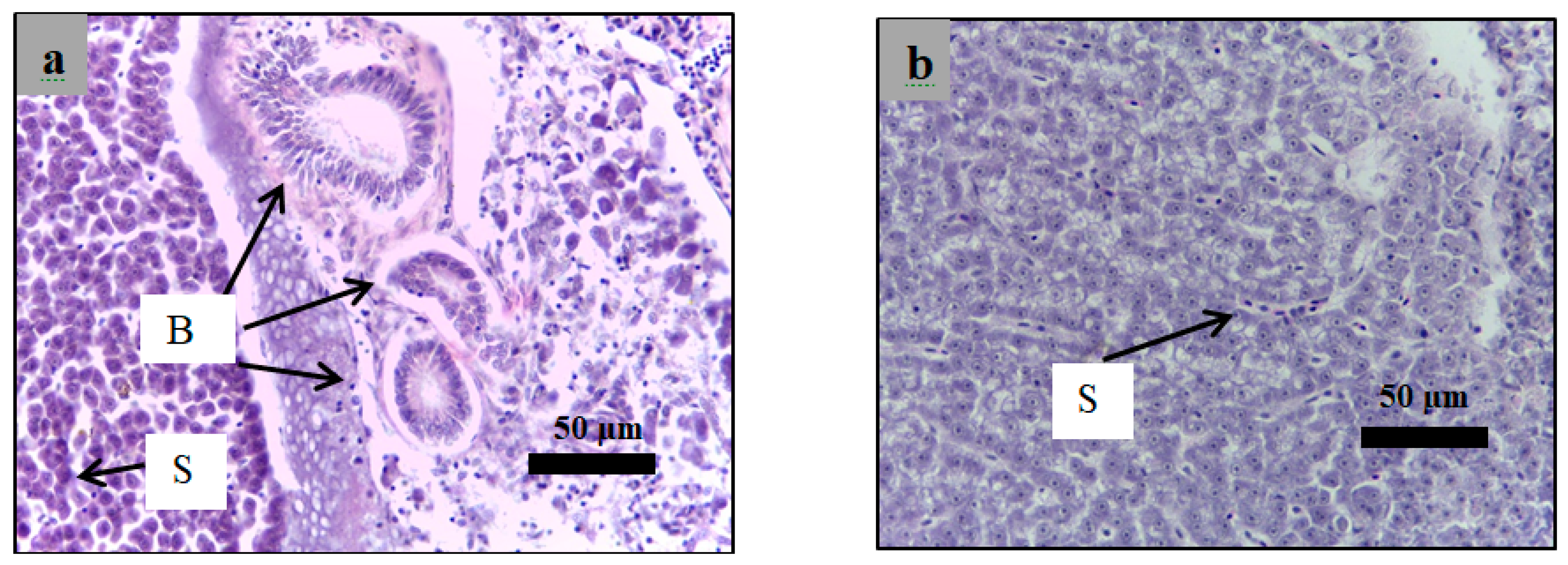 Molecules 24 01506 g014