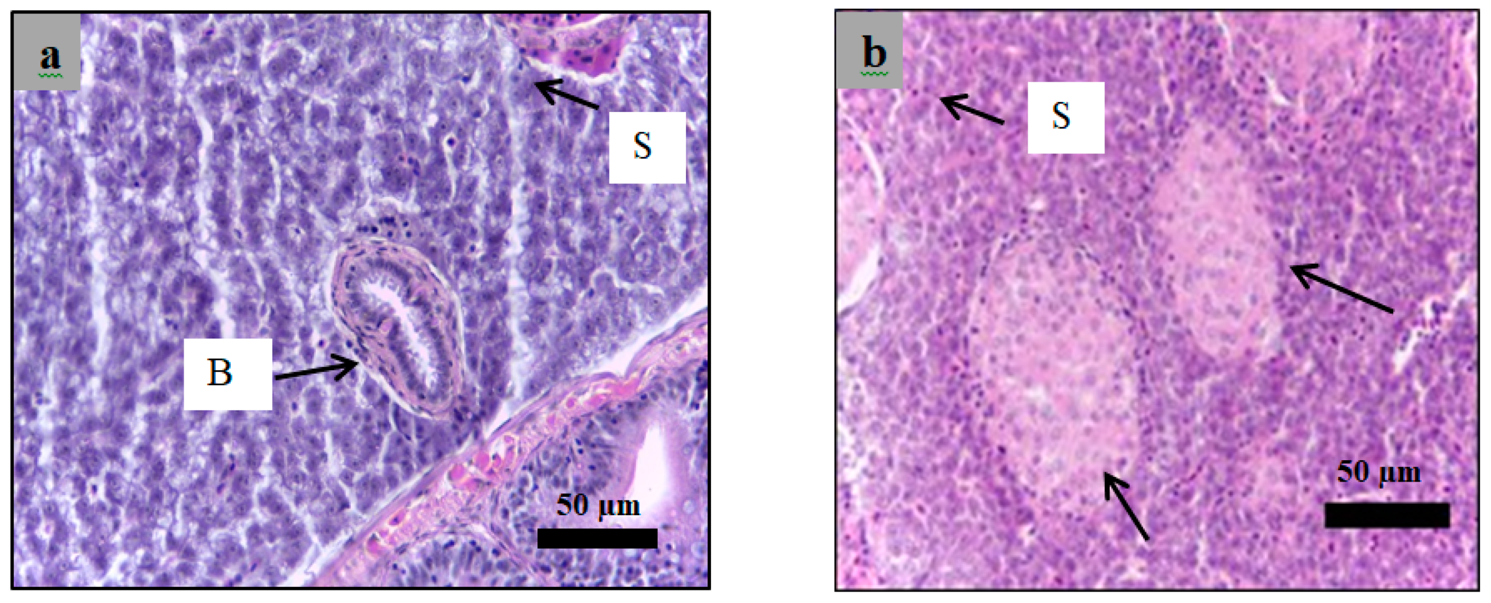 Molecules 24 01506 g015