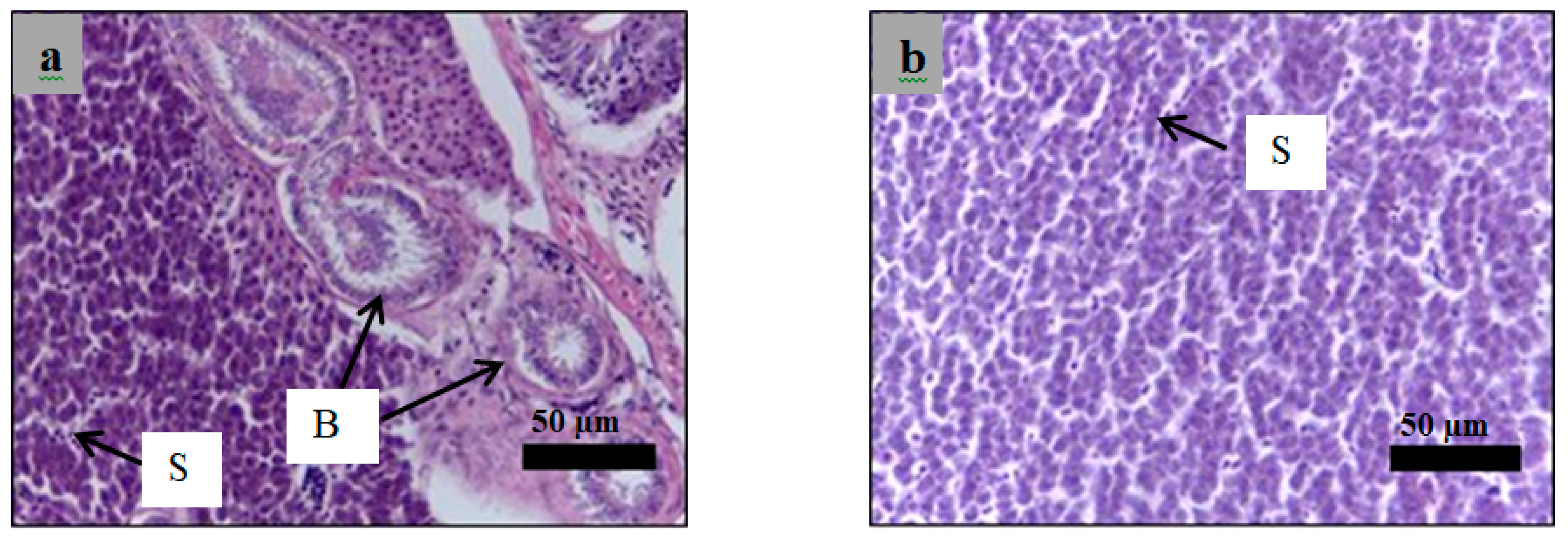 Molecules 24 01506 g016