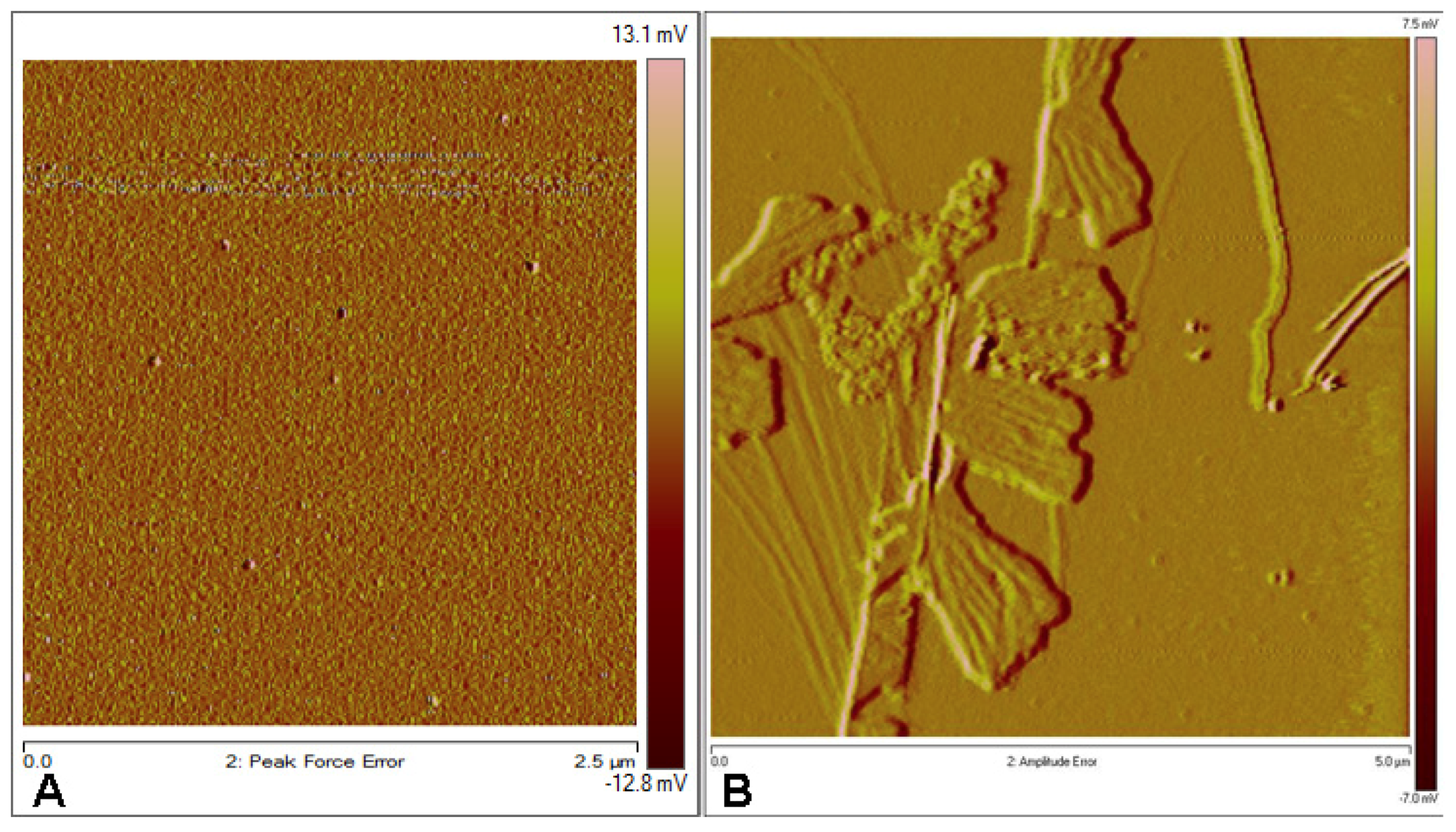 Molecules 24 01524 g005