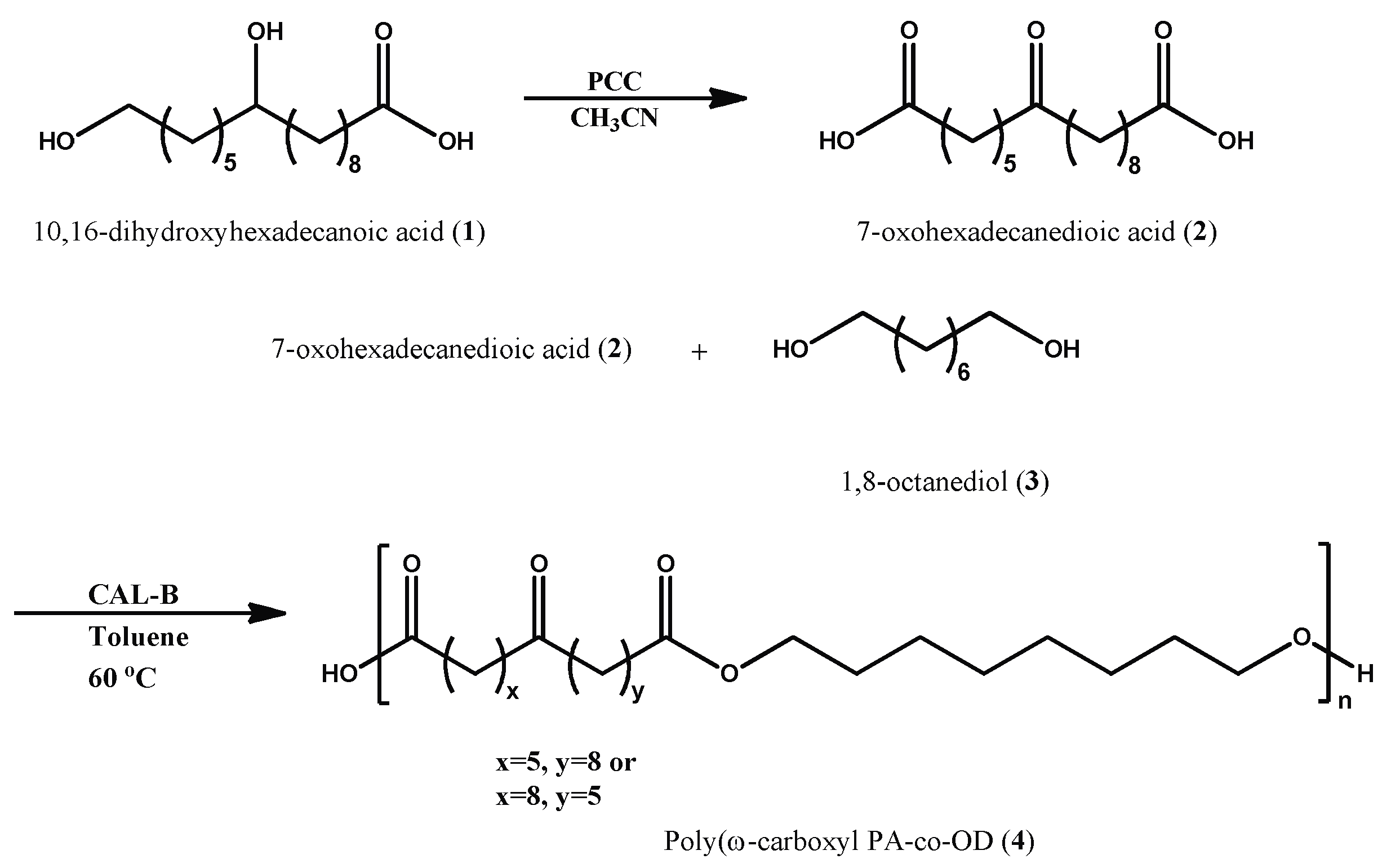 Molecules 24 01524 sch001