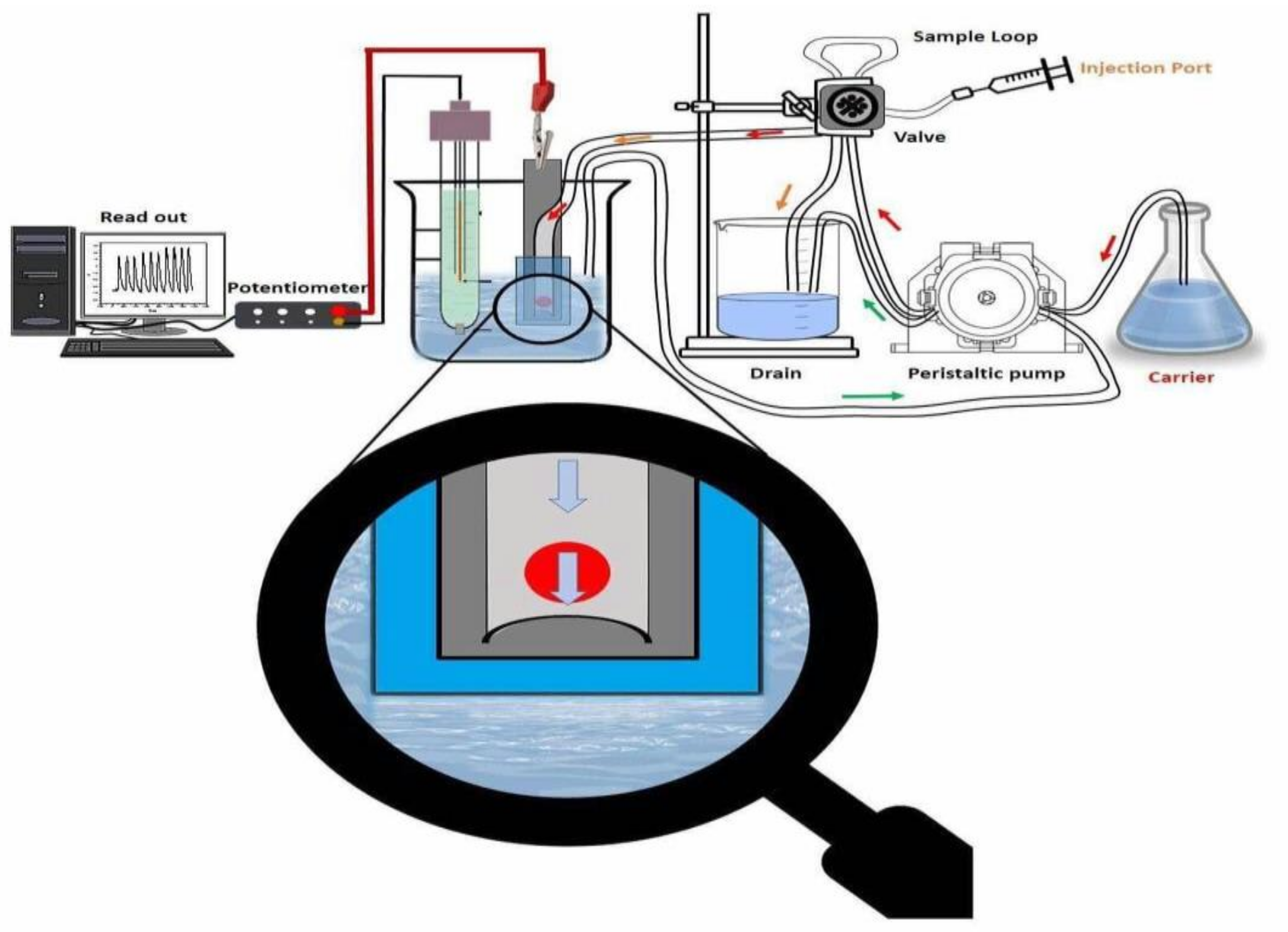 Molecules 24 01539 g004
