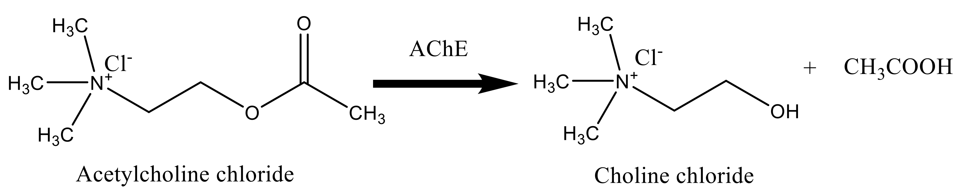 Molecules 24 01539 sch001
