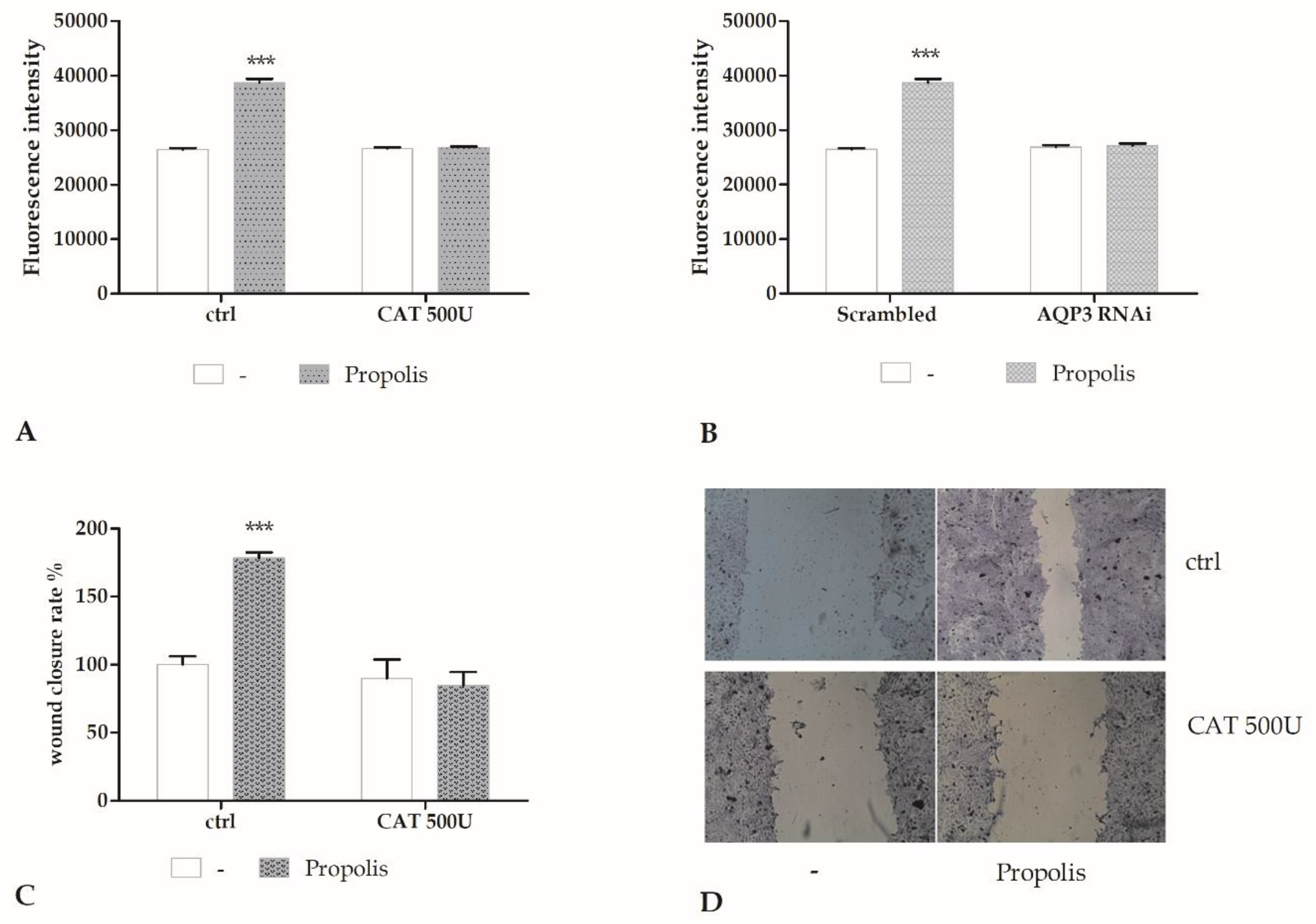 Molecules 24 01544 g004 Molecules 24 01544 g004
