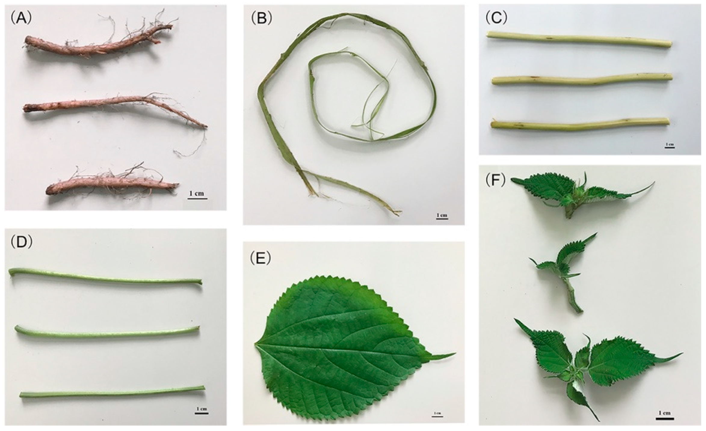 Molecules 24 01551 g001