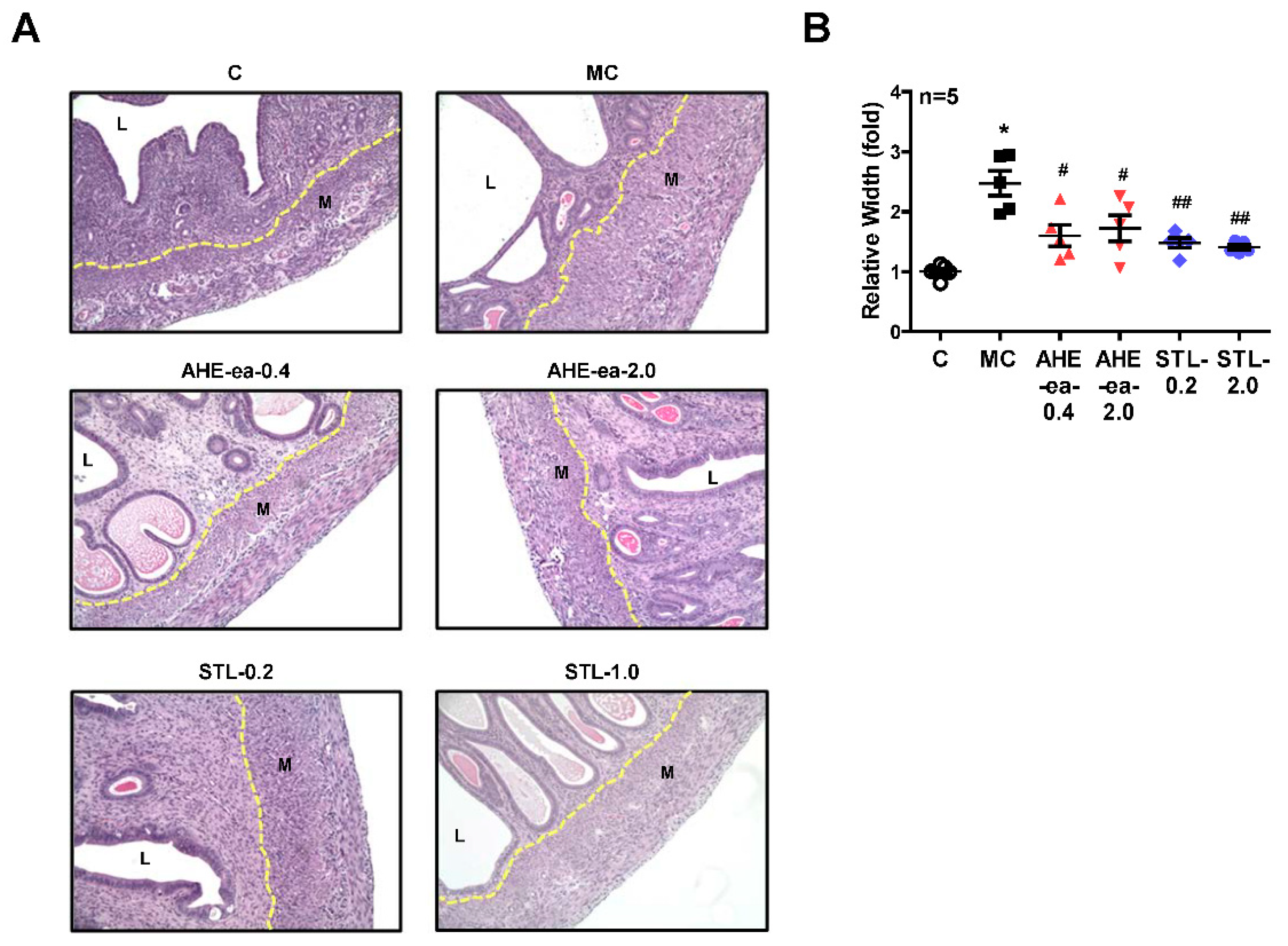 Molecules 24 01556 g008