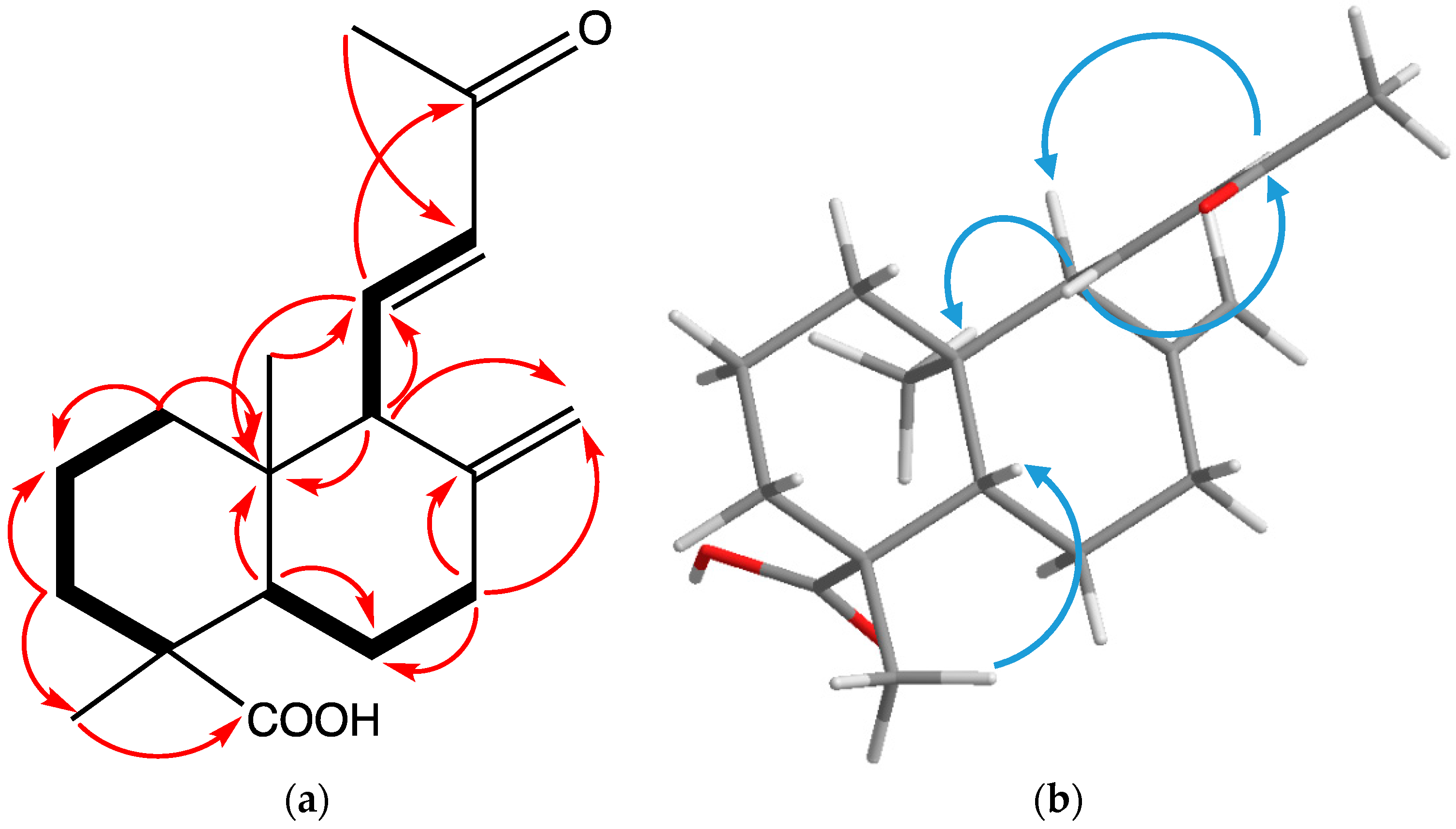 Molecules 24 01561 g002 Molecules 24 01561 g002