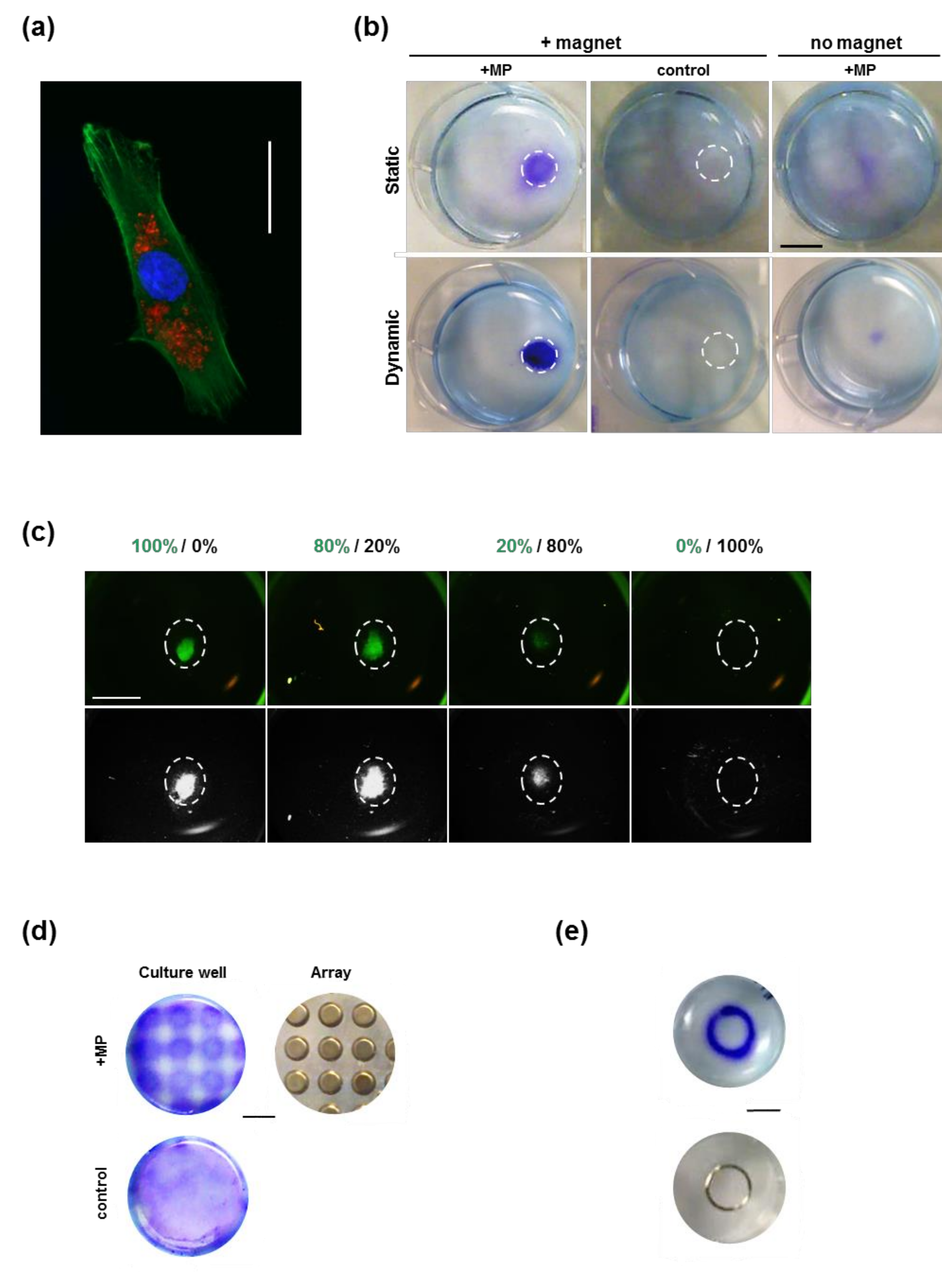 Molecules 24 01563 g001