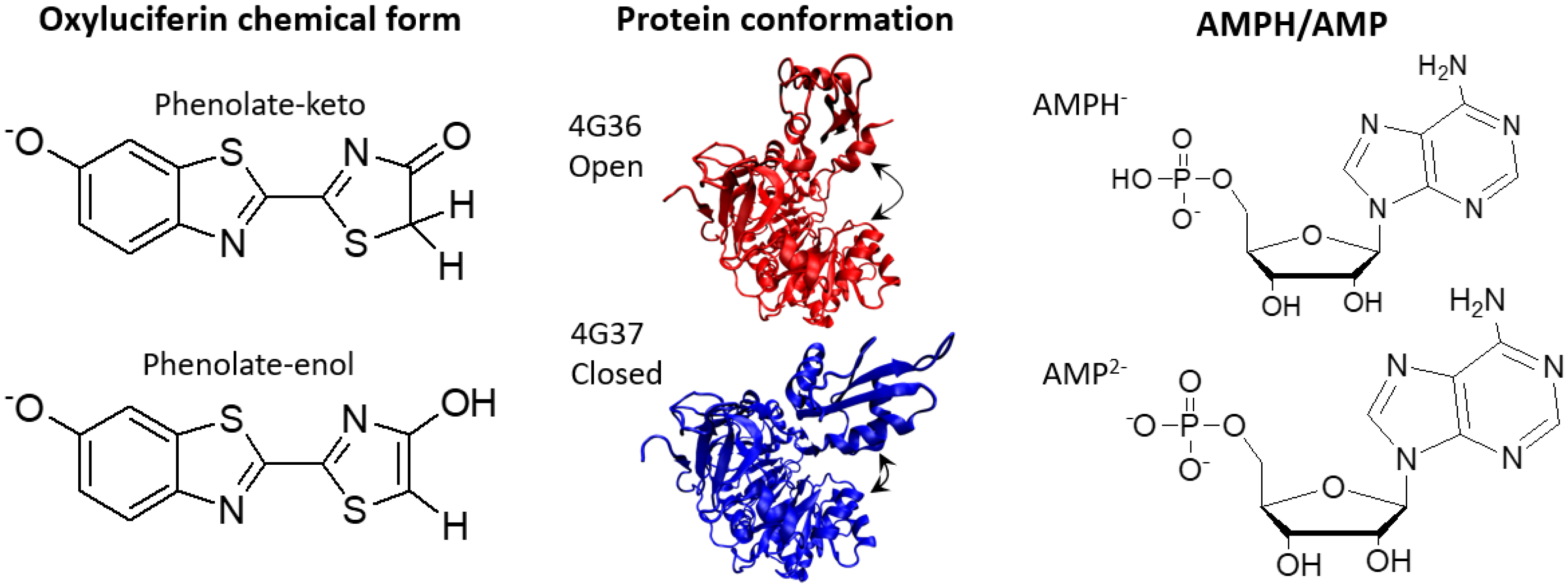Molecules 24 01565 g001 Molecules 24 01565 g001