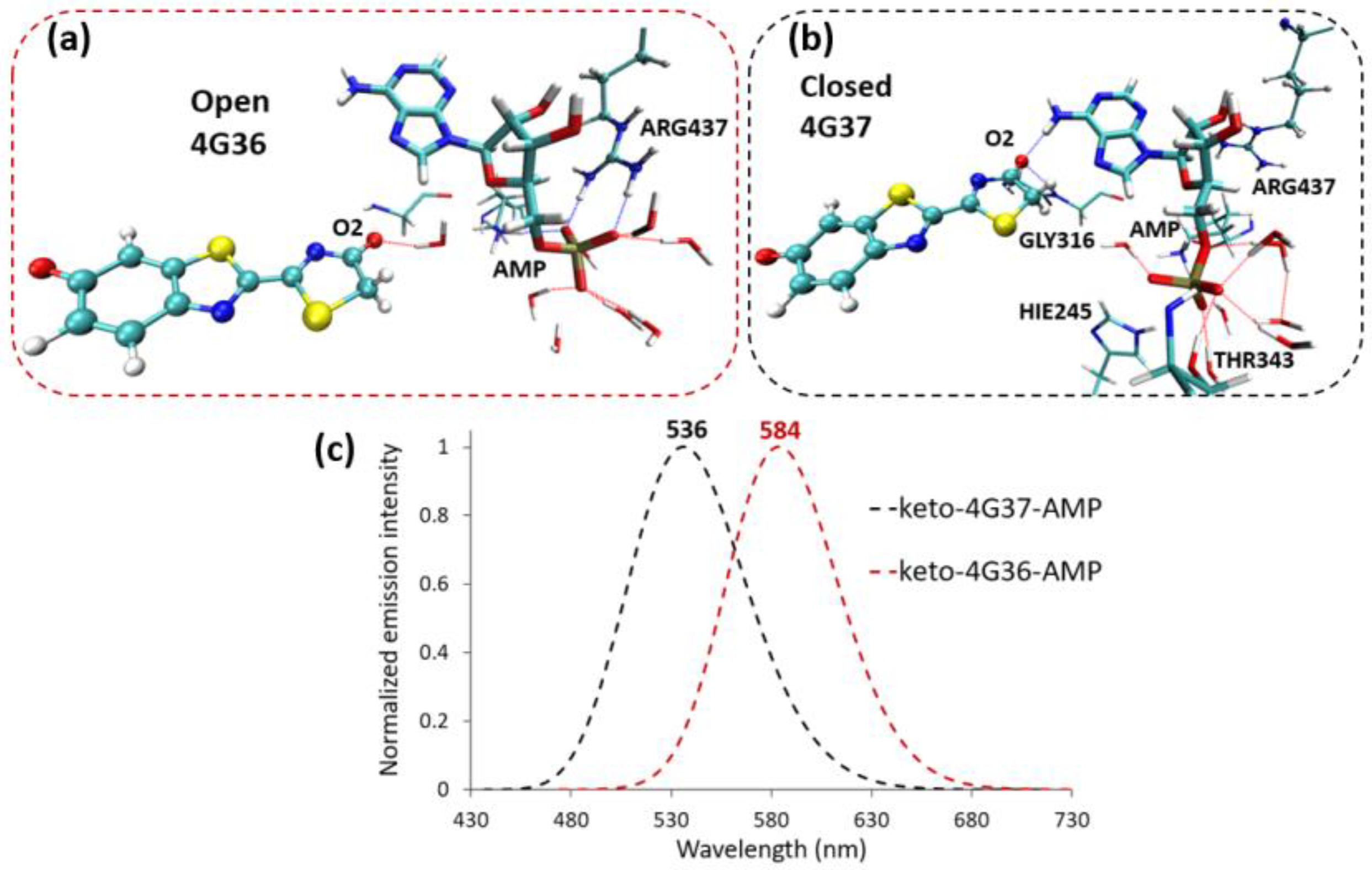 Molecules 24 01565 g004 Molecules 24 01565 g004
