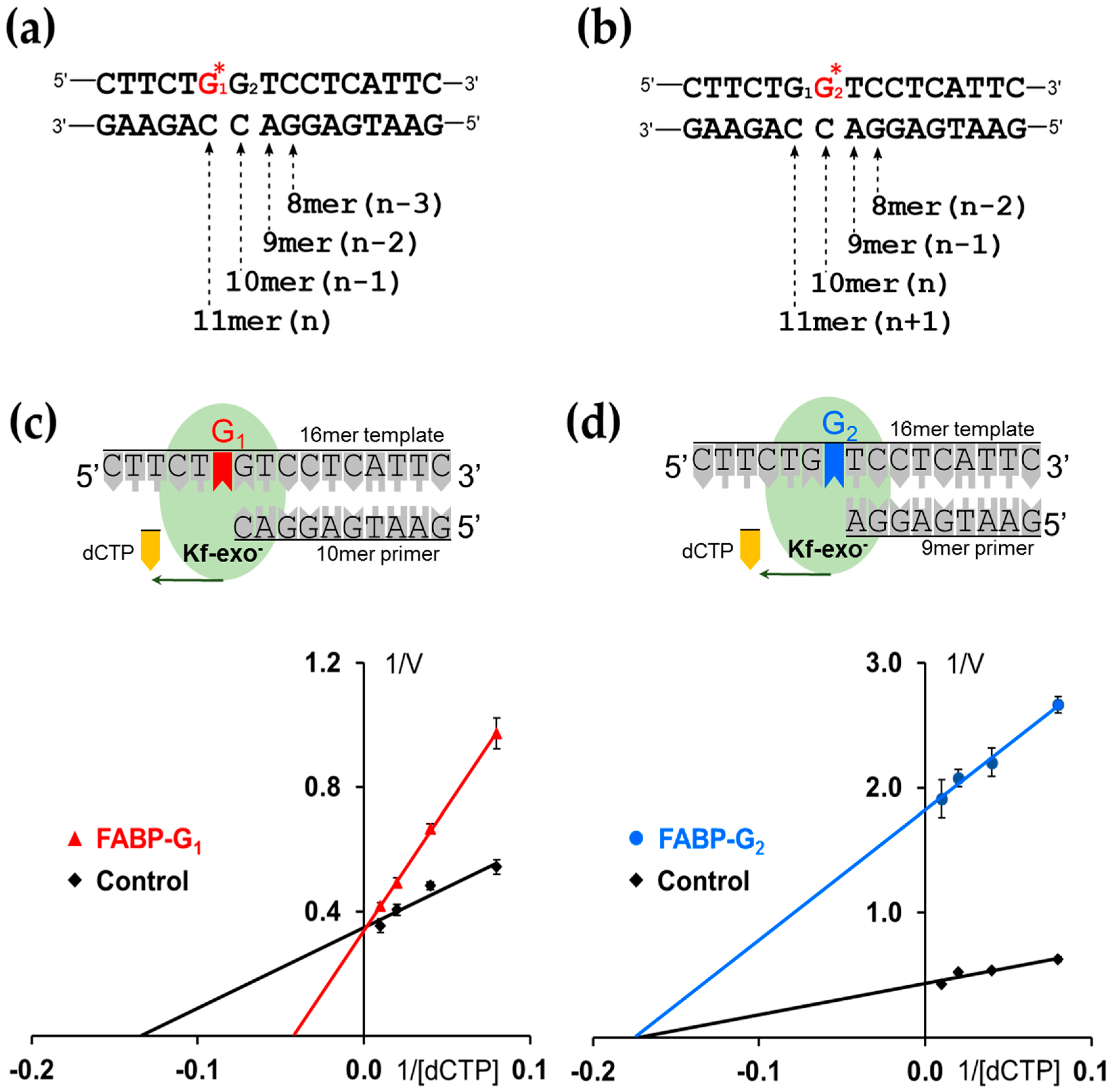 Molecules 24 01566 g003