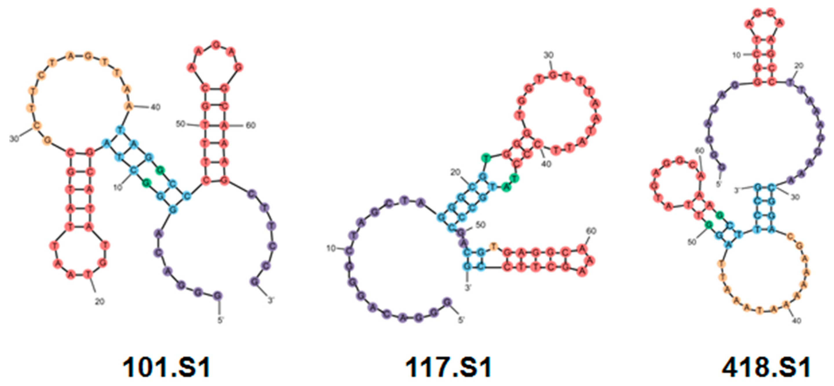 Molecules 24 01572 g001