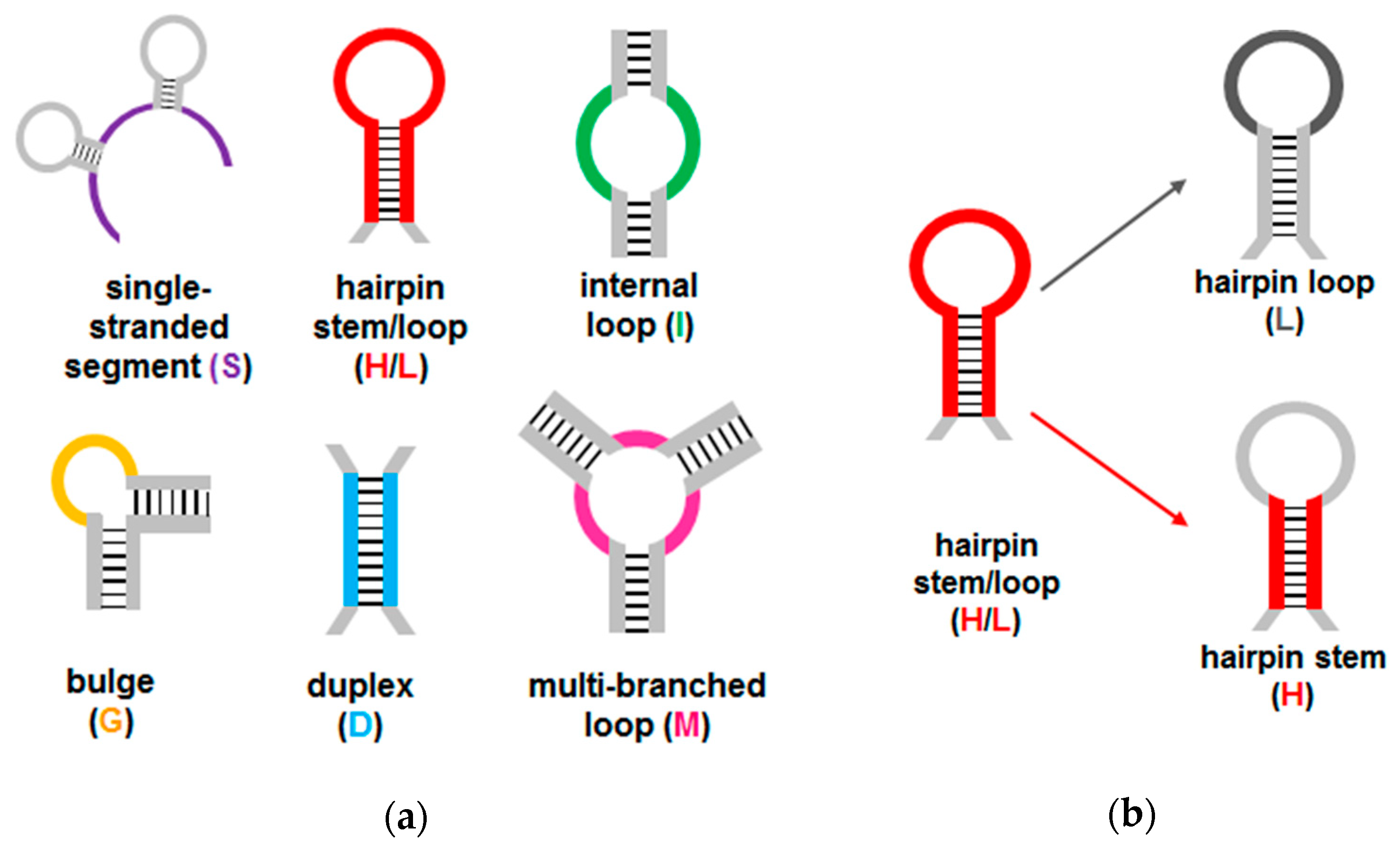 Molecules 24 01572 sch002