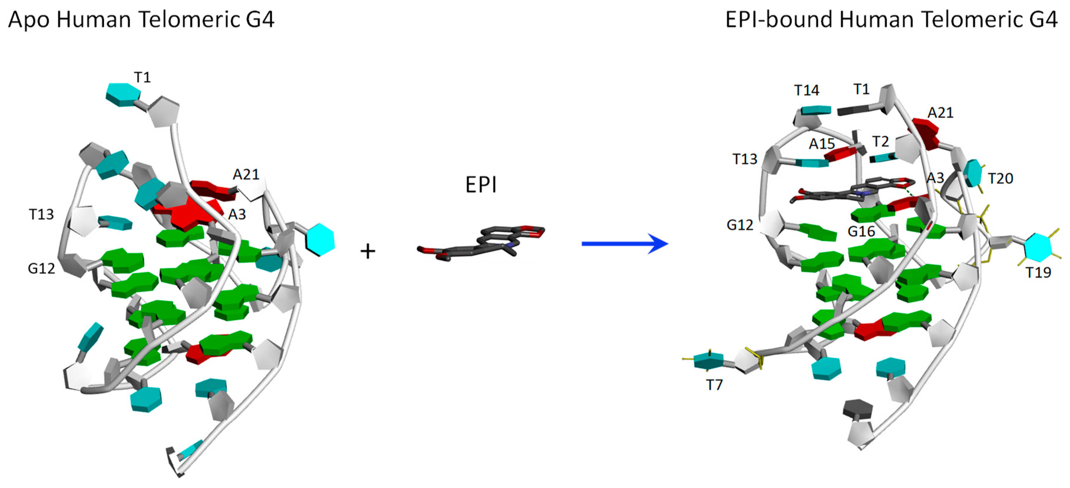 Molecules 24 01574 g002