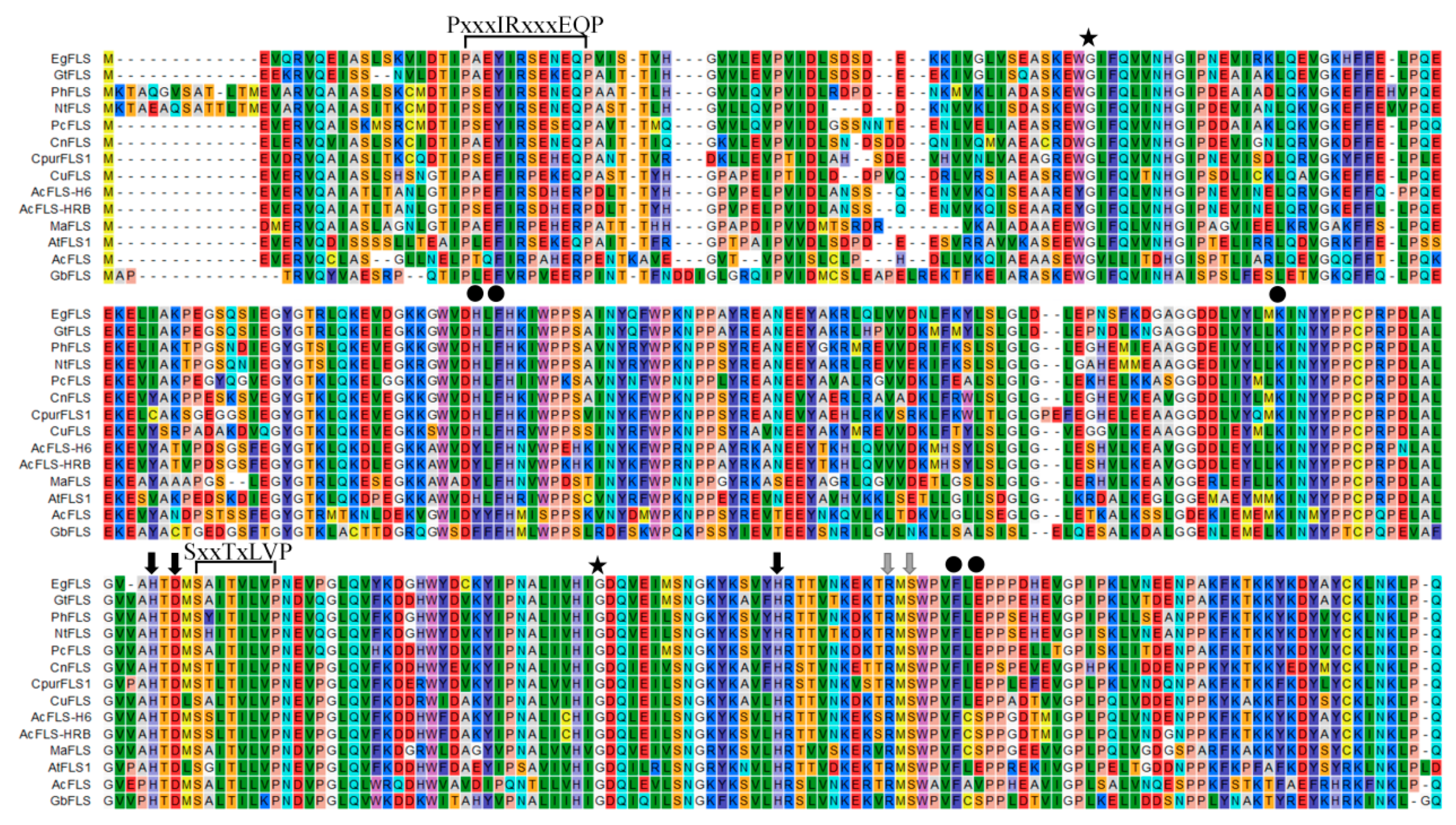 Molecules 24 01579 g001