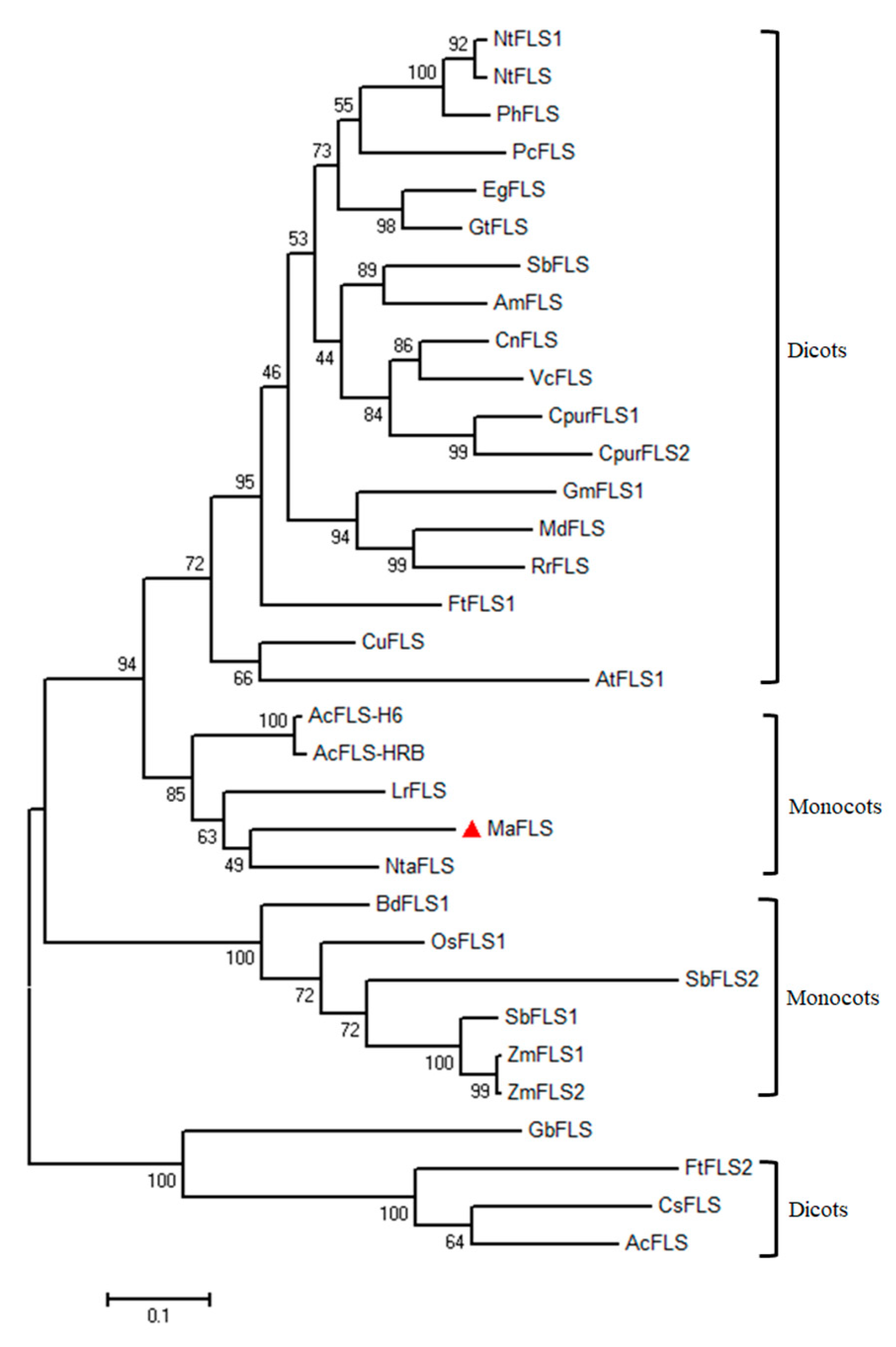Molecules 24 01579 g002