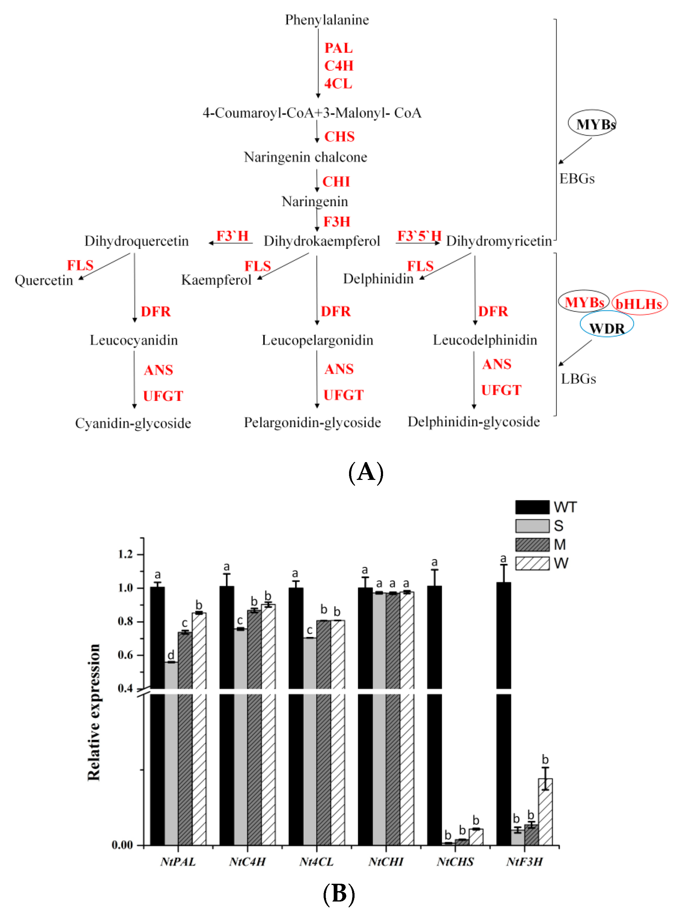 Molecules 24 01579 g006a