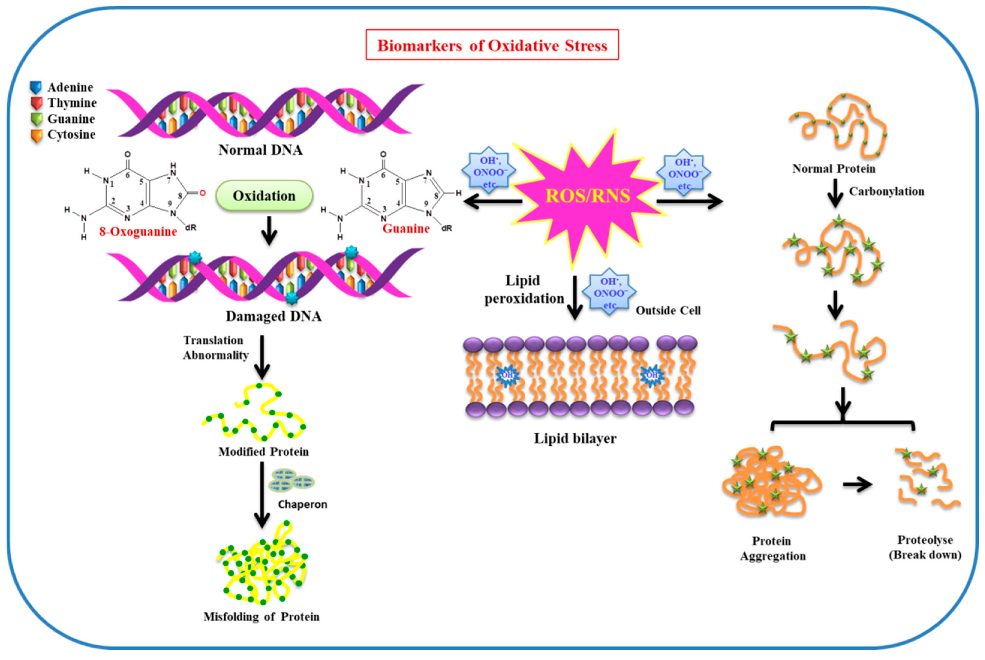 Molecules 24 01583 g002