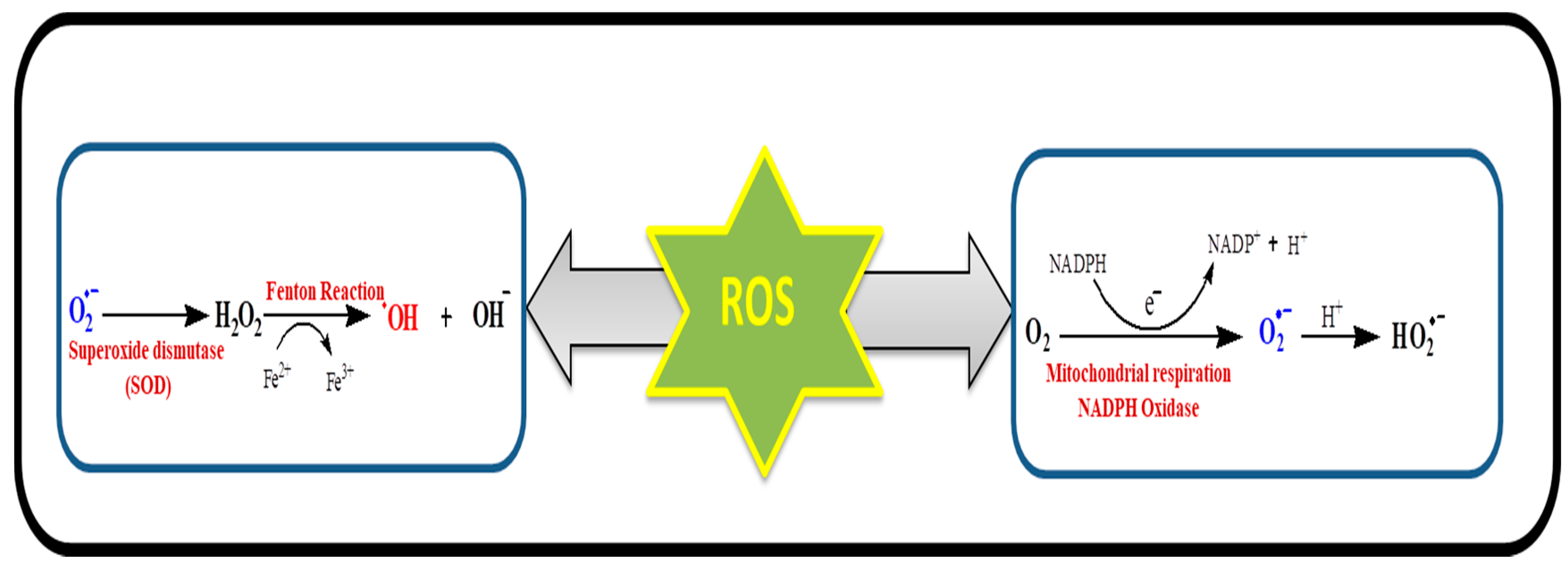 Molecules 24 01583 g003