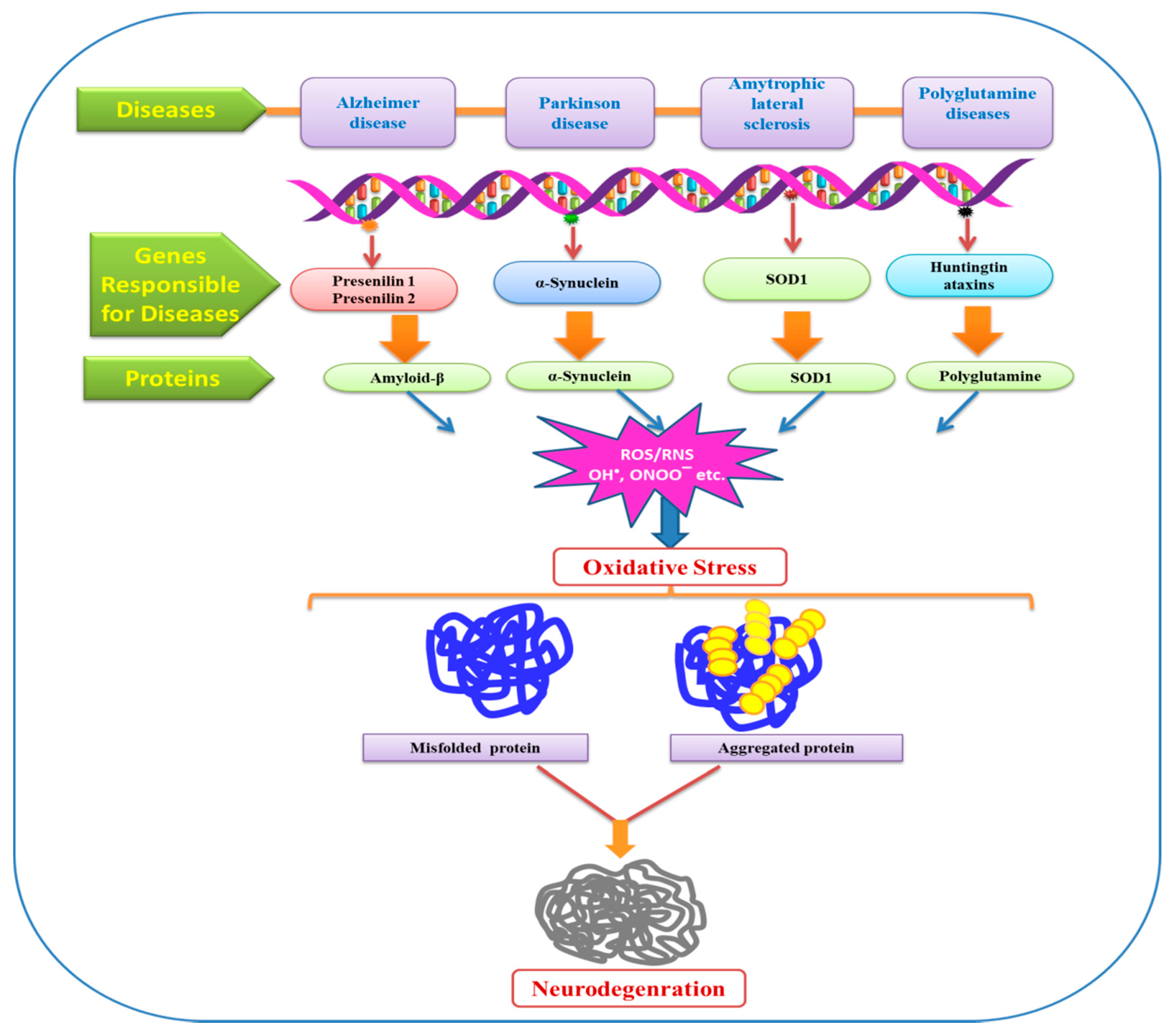 Molecules 24 01583 g005