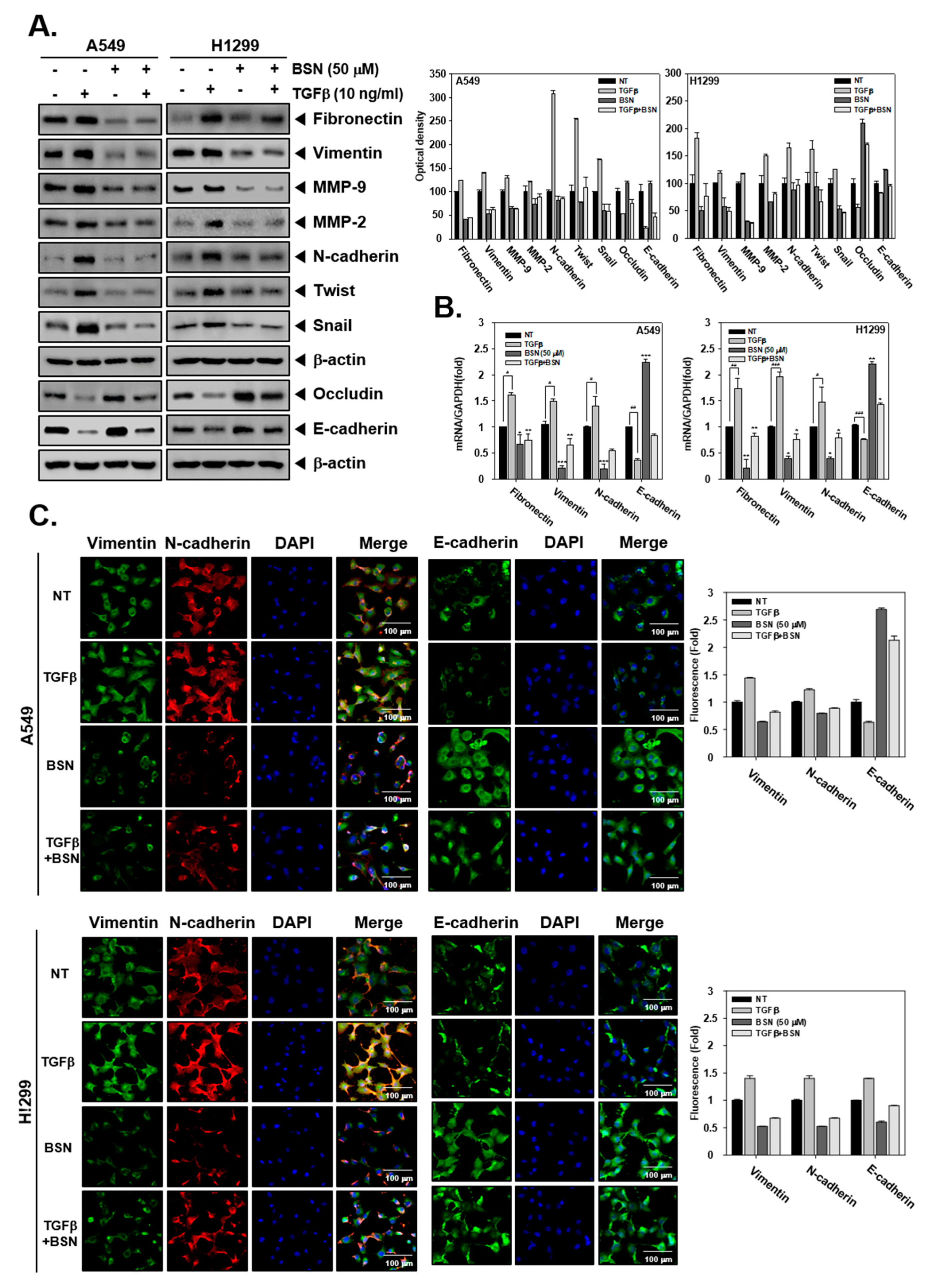 Molecules 24 01584 g002 Molecules 24 01584 g002