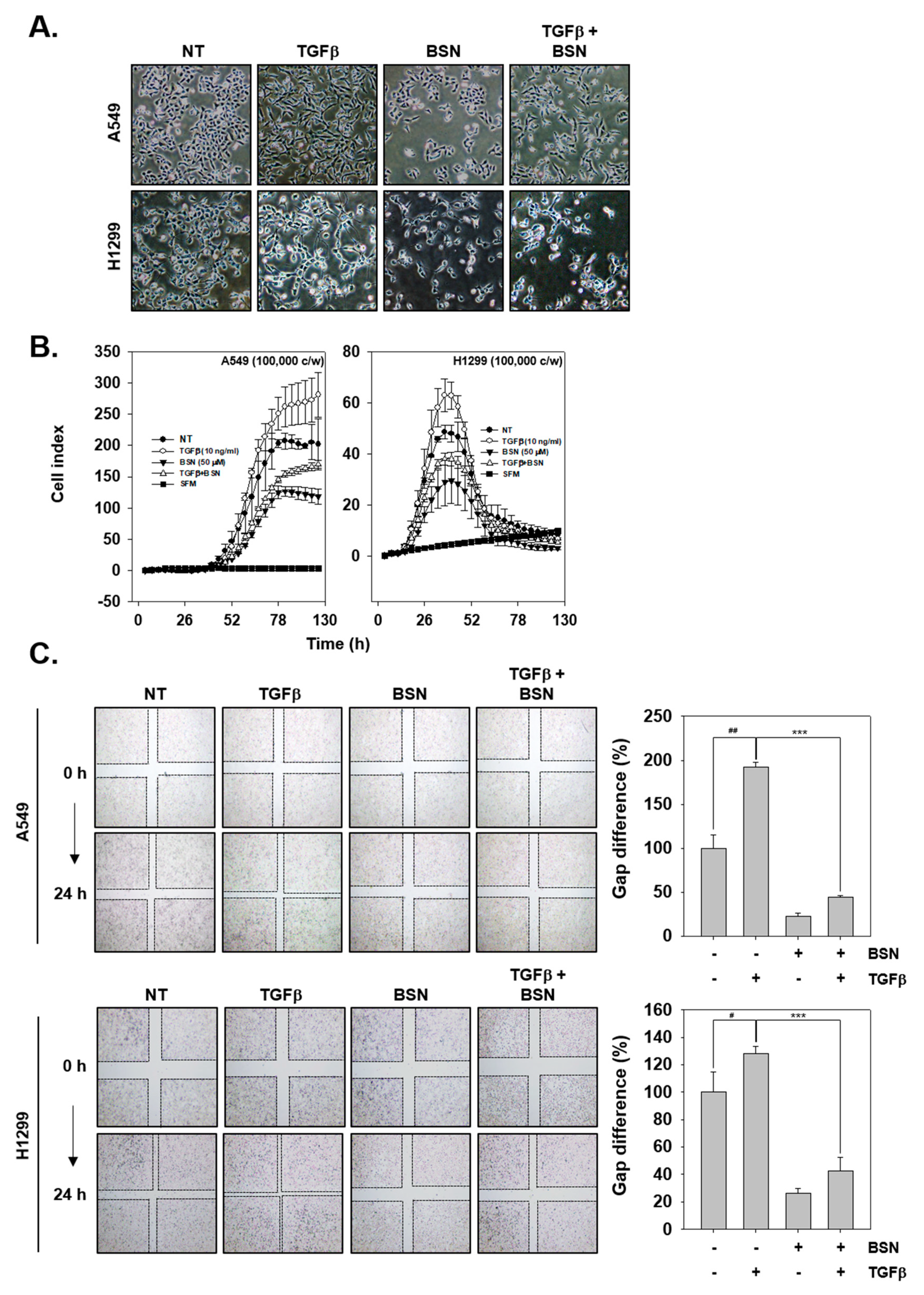 Molecules 24 01584 g004 Molecules 24 01584 g004