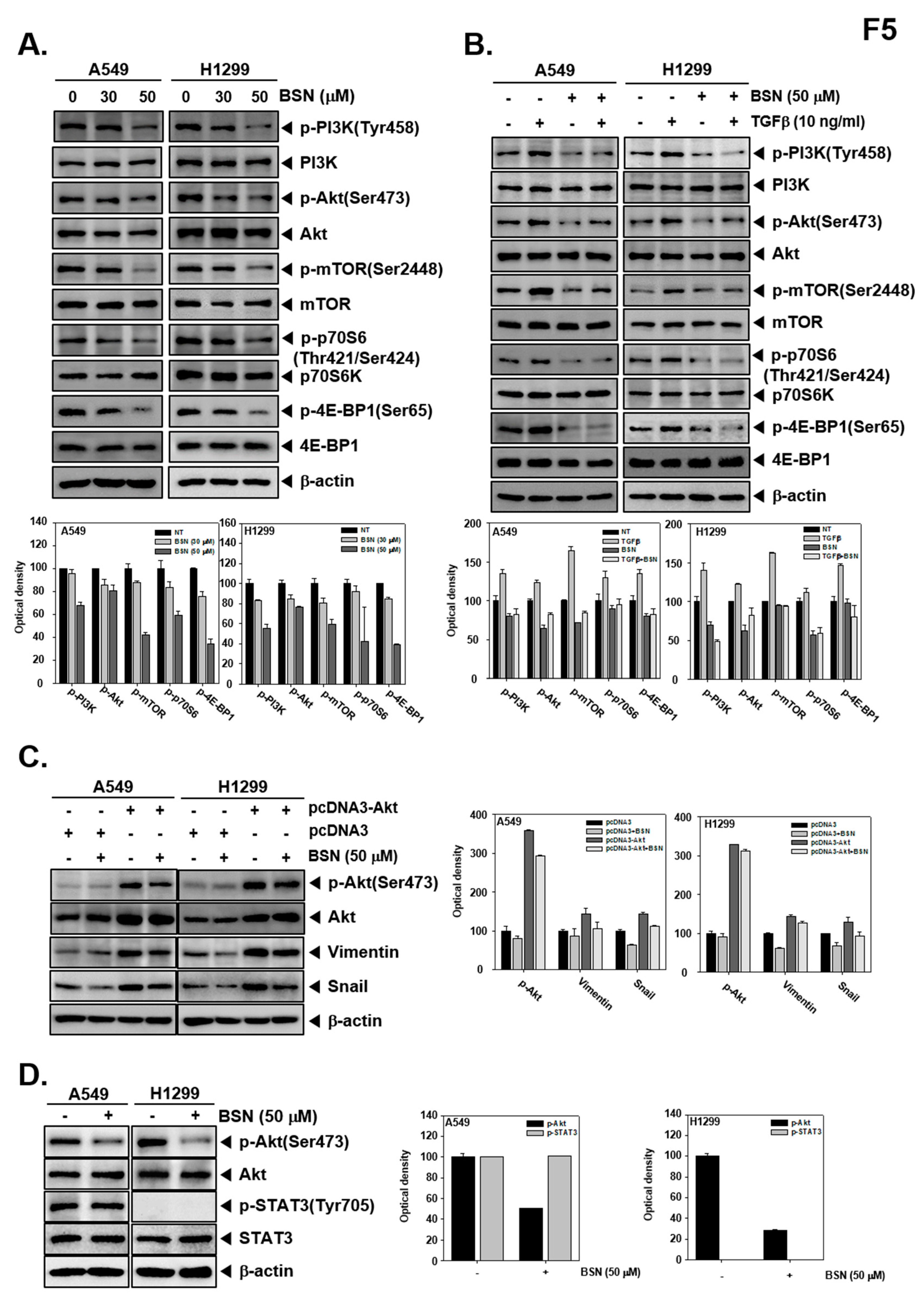 Molecules 24 01584 g005 Molecules 24 01584 g005